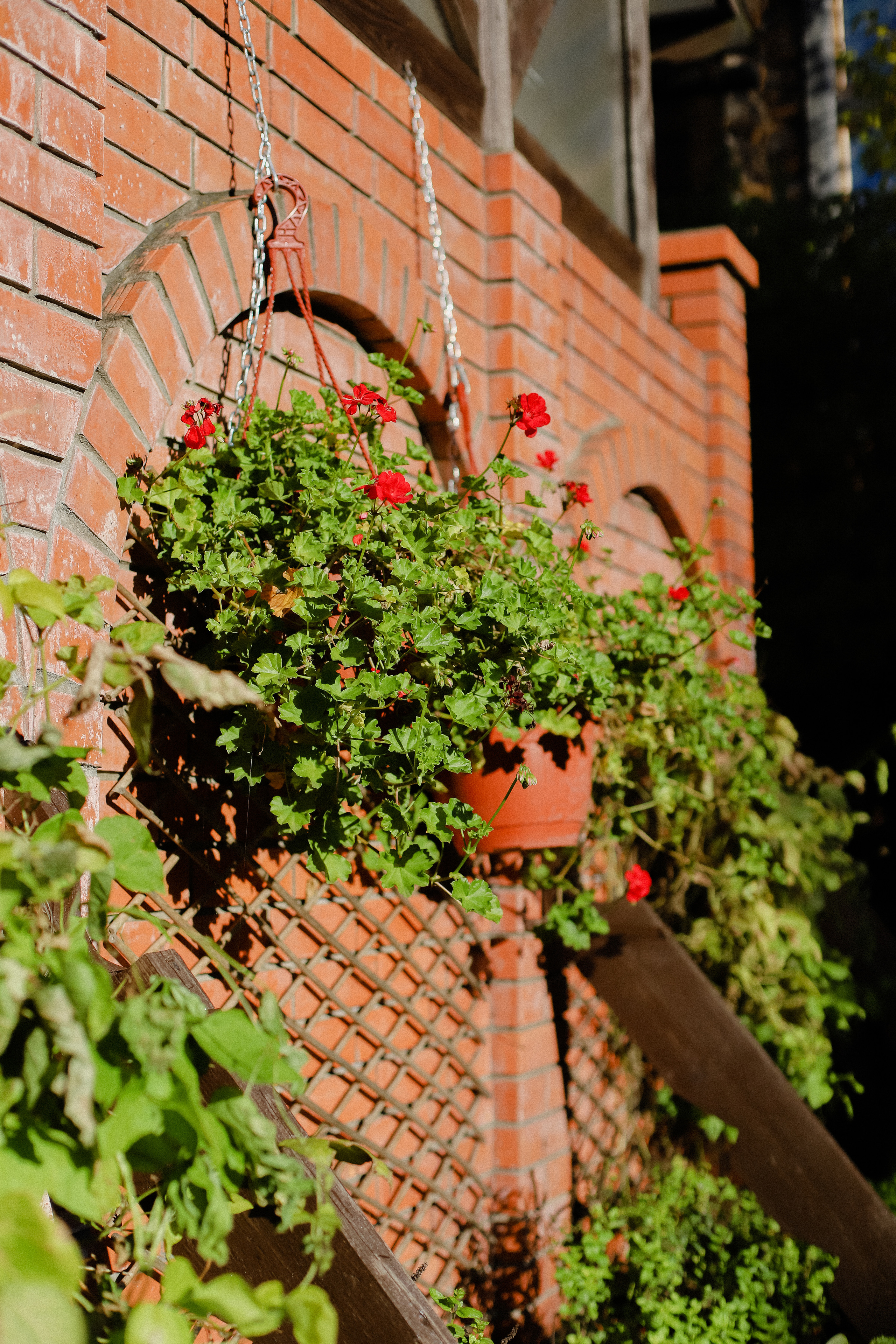 Few Horses осень. Фотограф в Алматы и Москве Даша Пушкина