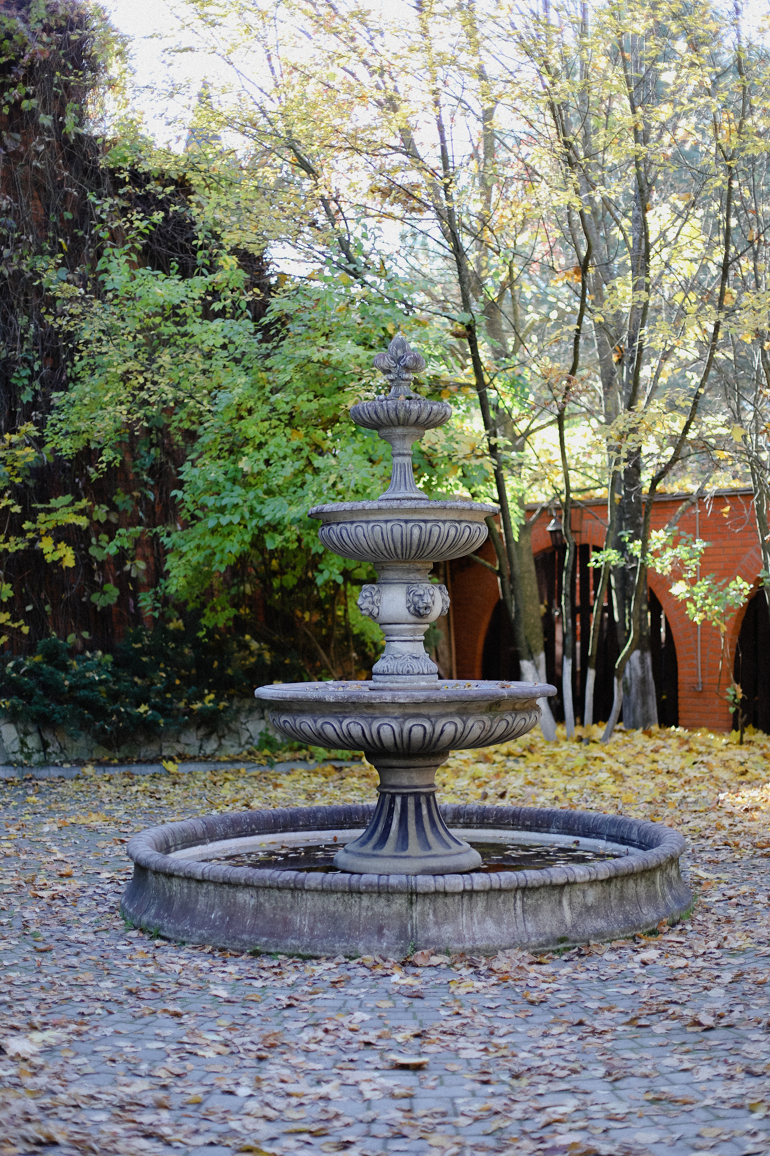 Few Horses осень. Фотограф в Алматы и Москве Даша Пушкина