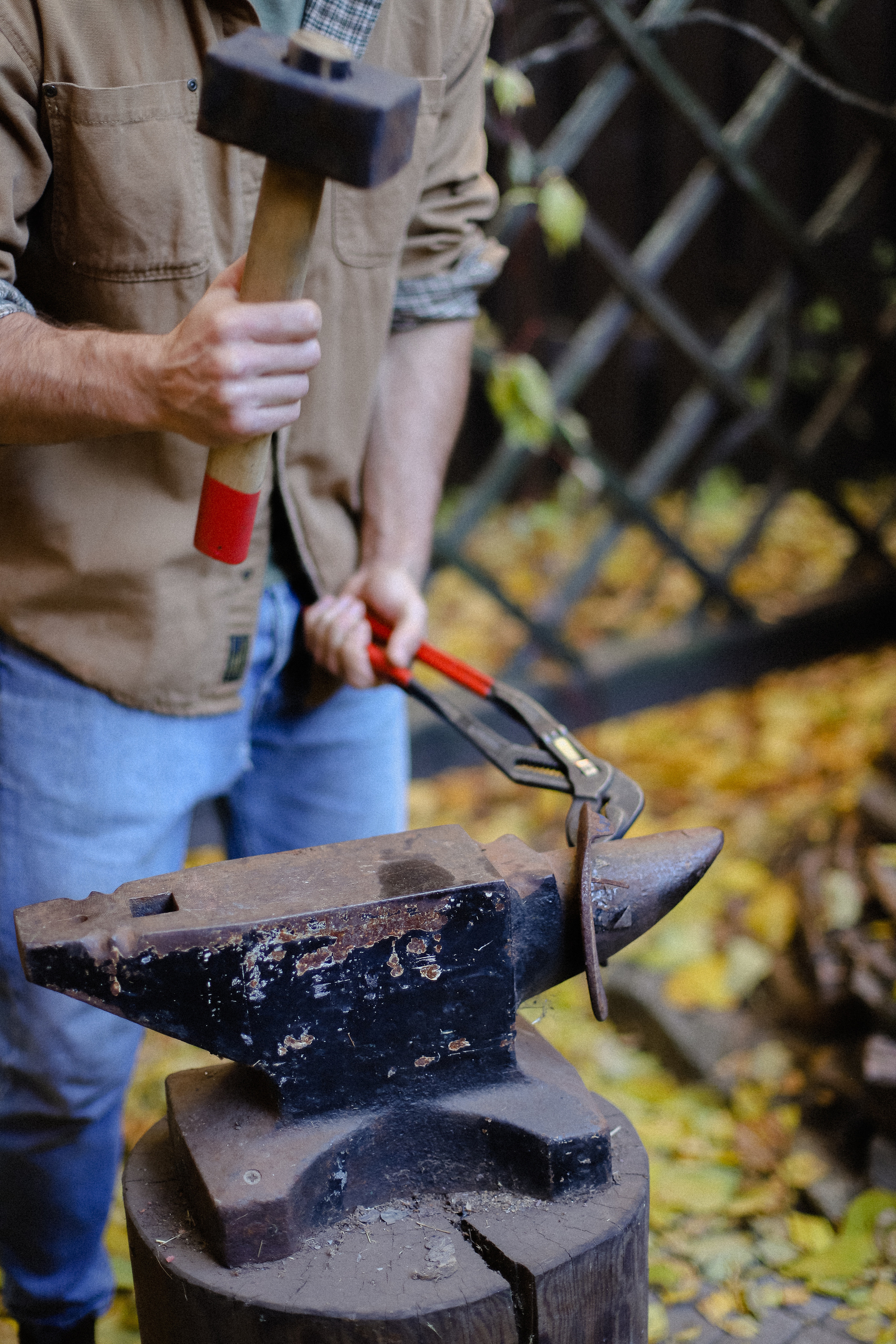 Few Horses осень. Фотограф в Алматы и Москве Даша Пушкина