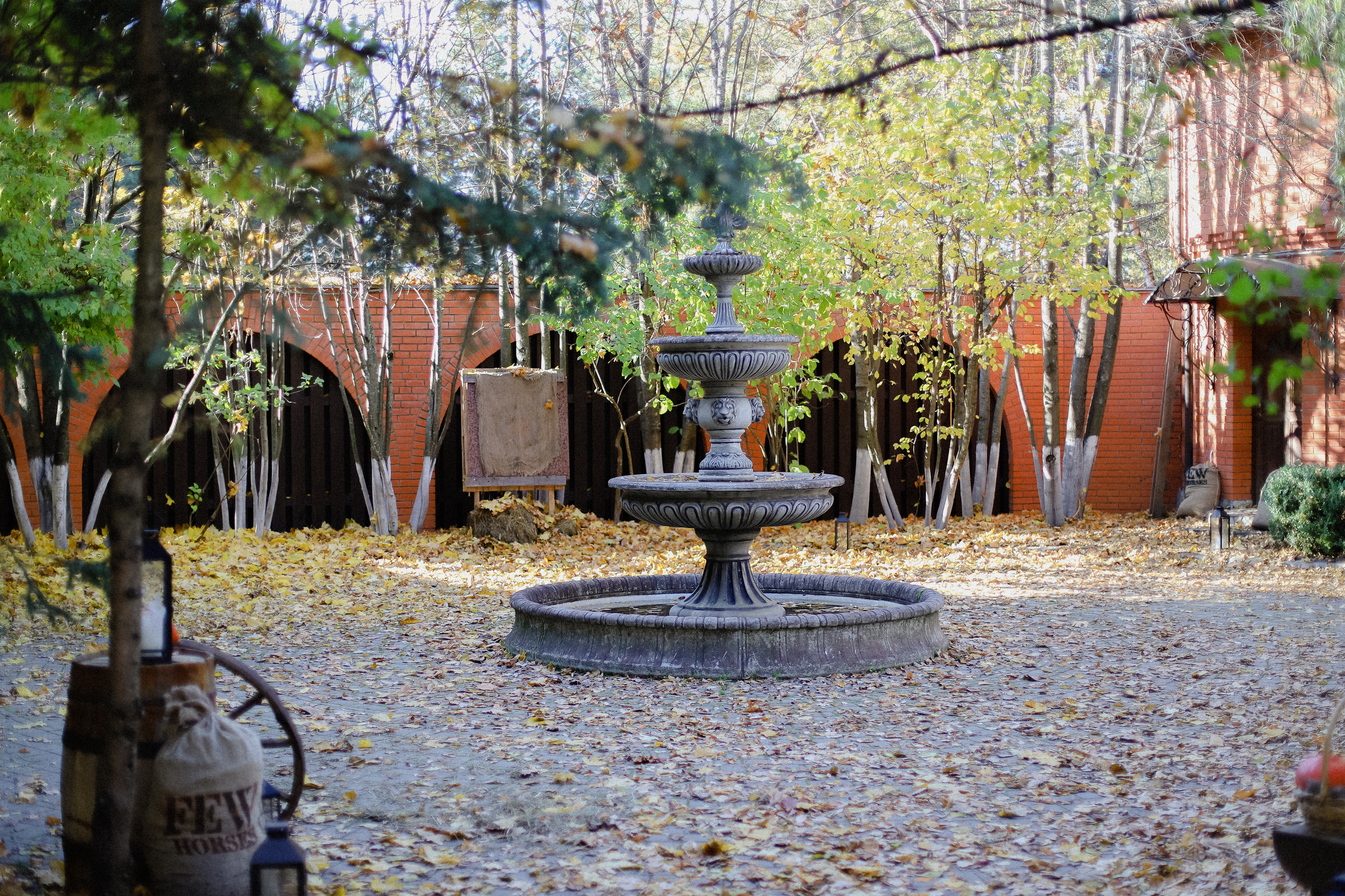 Few Horses осень. Фотограф в Алматы и Москве Даша Пушкина