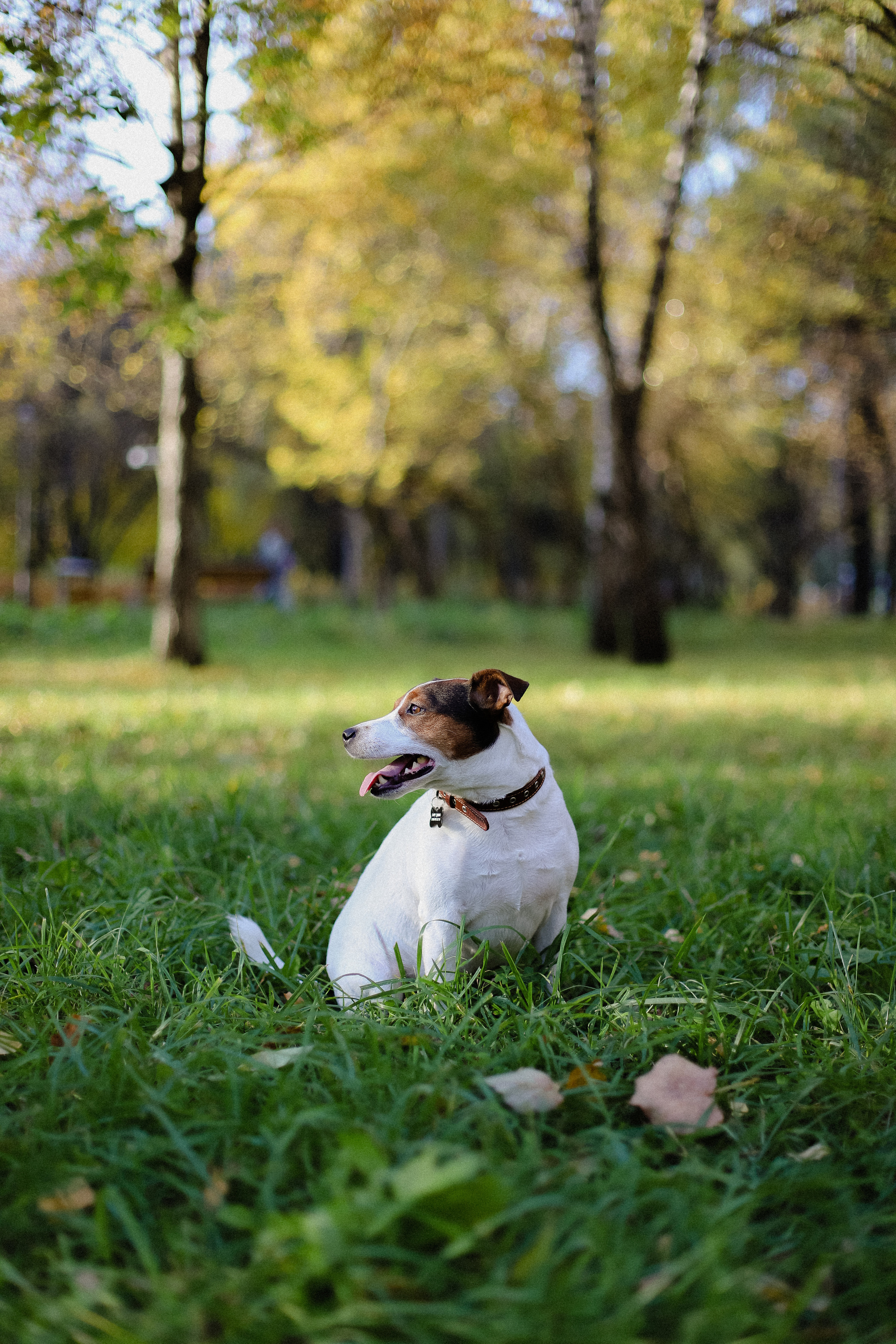 Про осень. Фотограф в Алматы и Москве Даша Пушкина