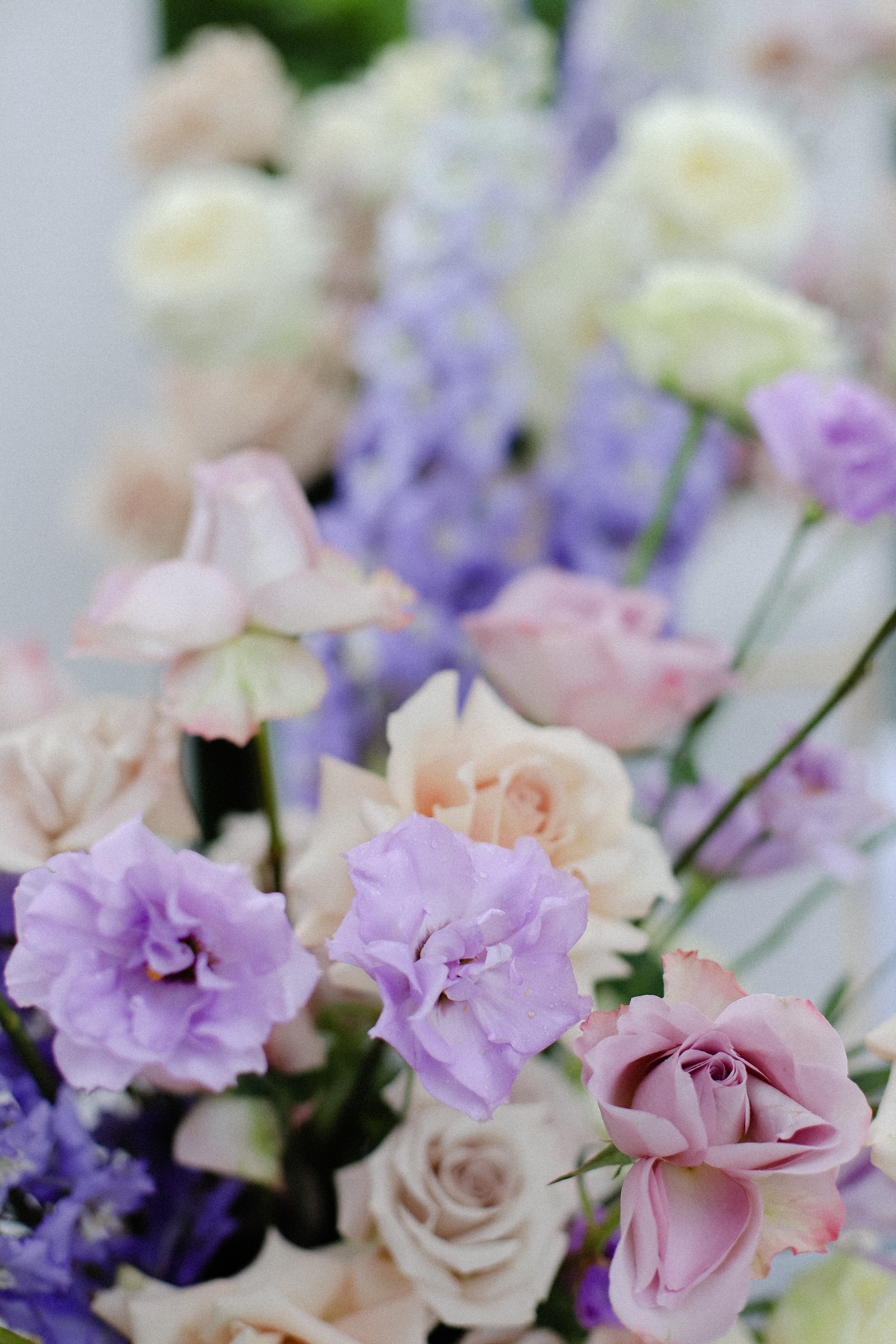 Андрей и Катя. Фотограф в Алматы и Москве Даша Пушкина