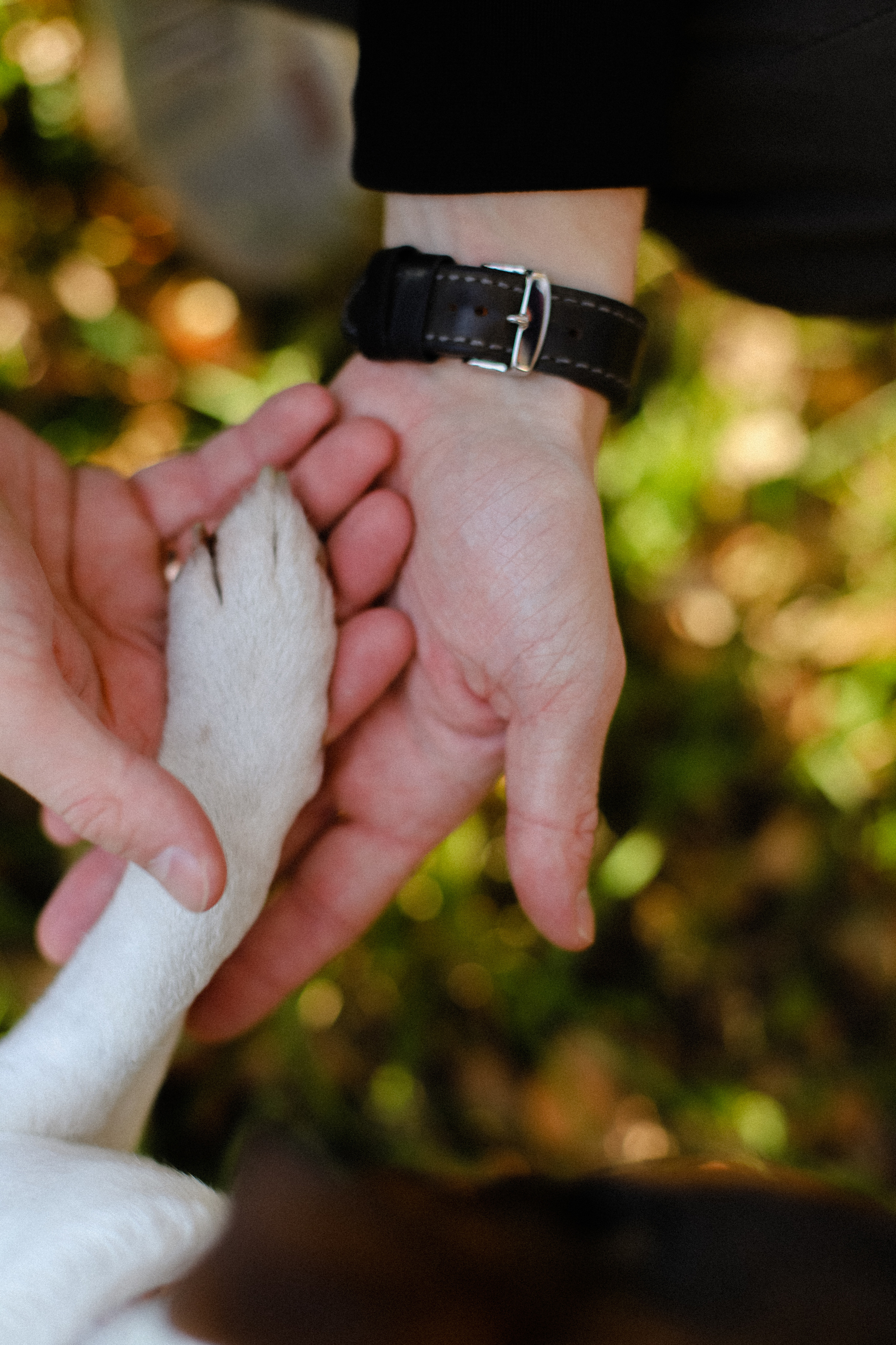 Про осень. Фотограф в Алматы и Москве Даша Пушкина