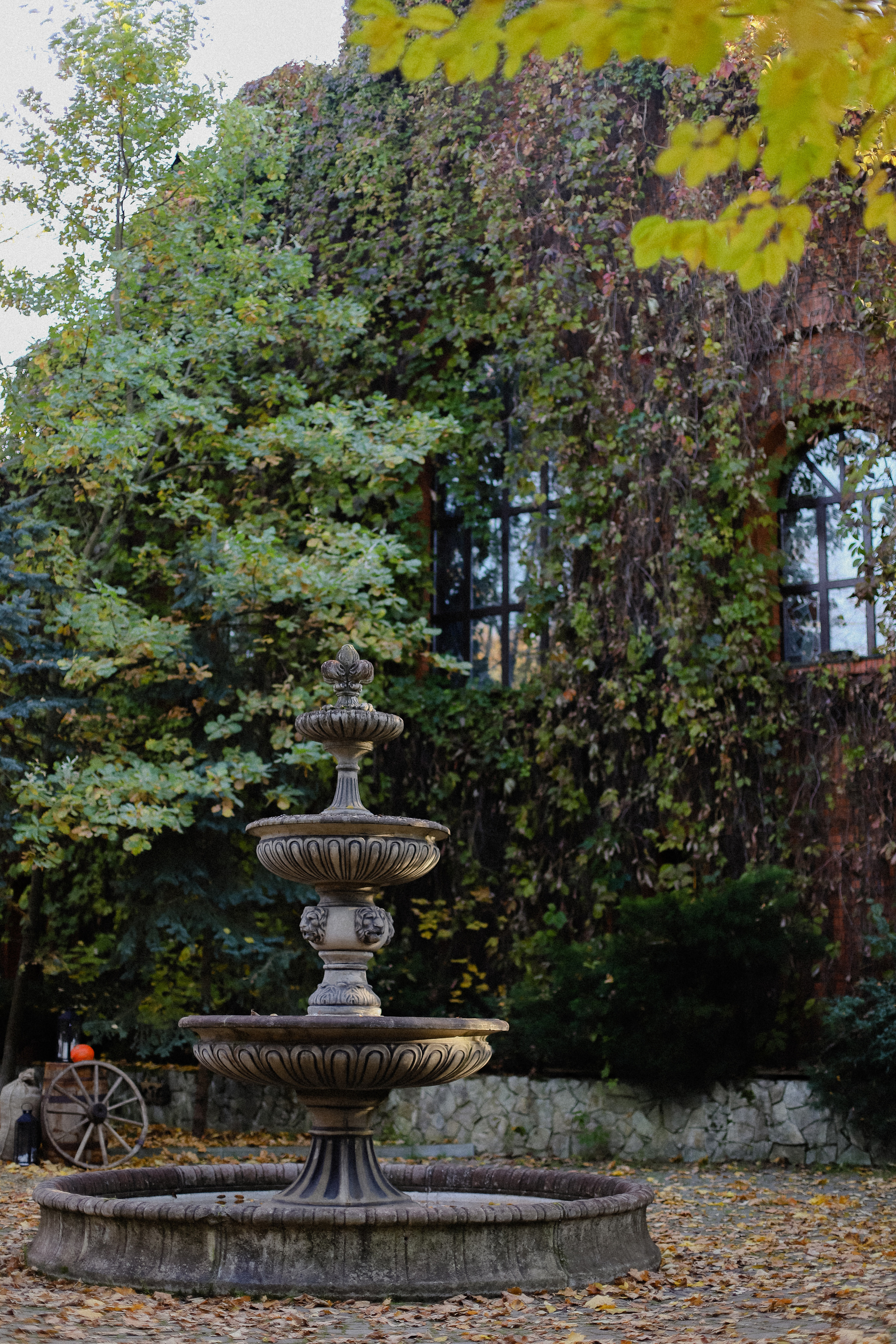 Few Horses осень. Фотограф в Алматы и Москве Даша Пушкина