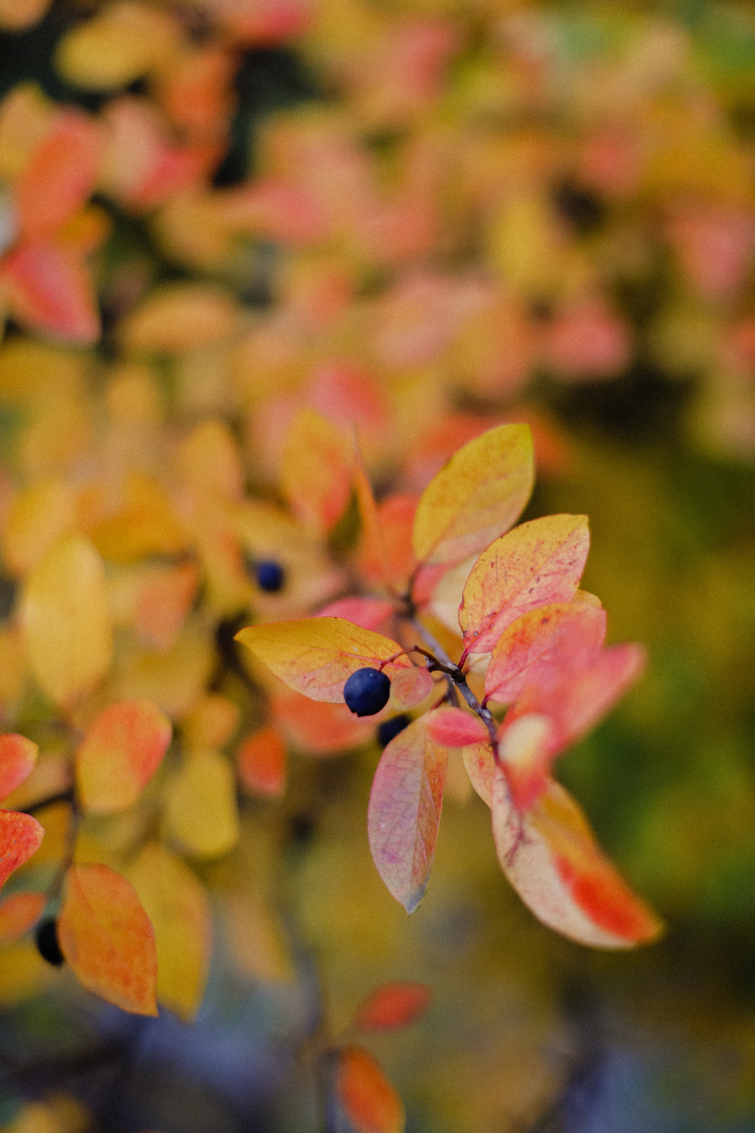 Катя. Фотограф в Алматы и Москве Даша Пушкина