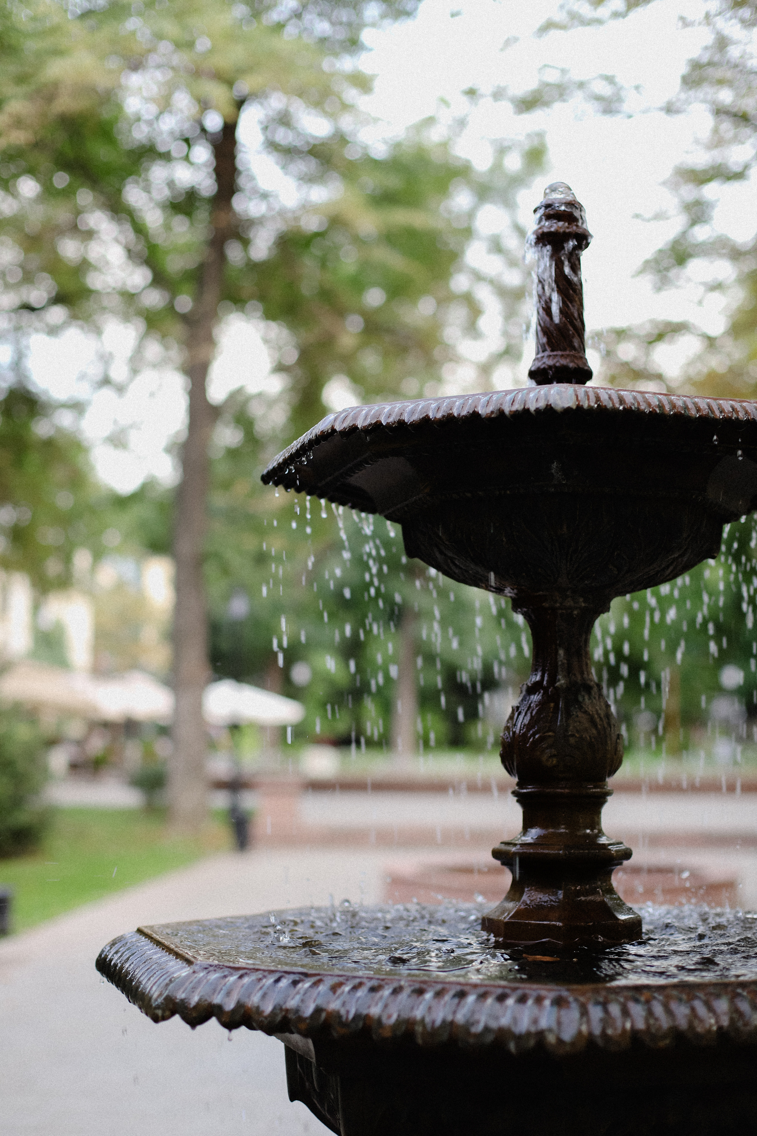 Даша и Леша. Фотограф в Алматы и Москве Даша Пушкина