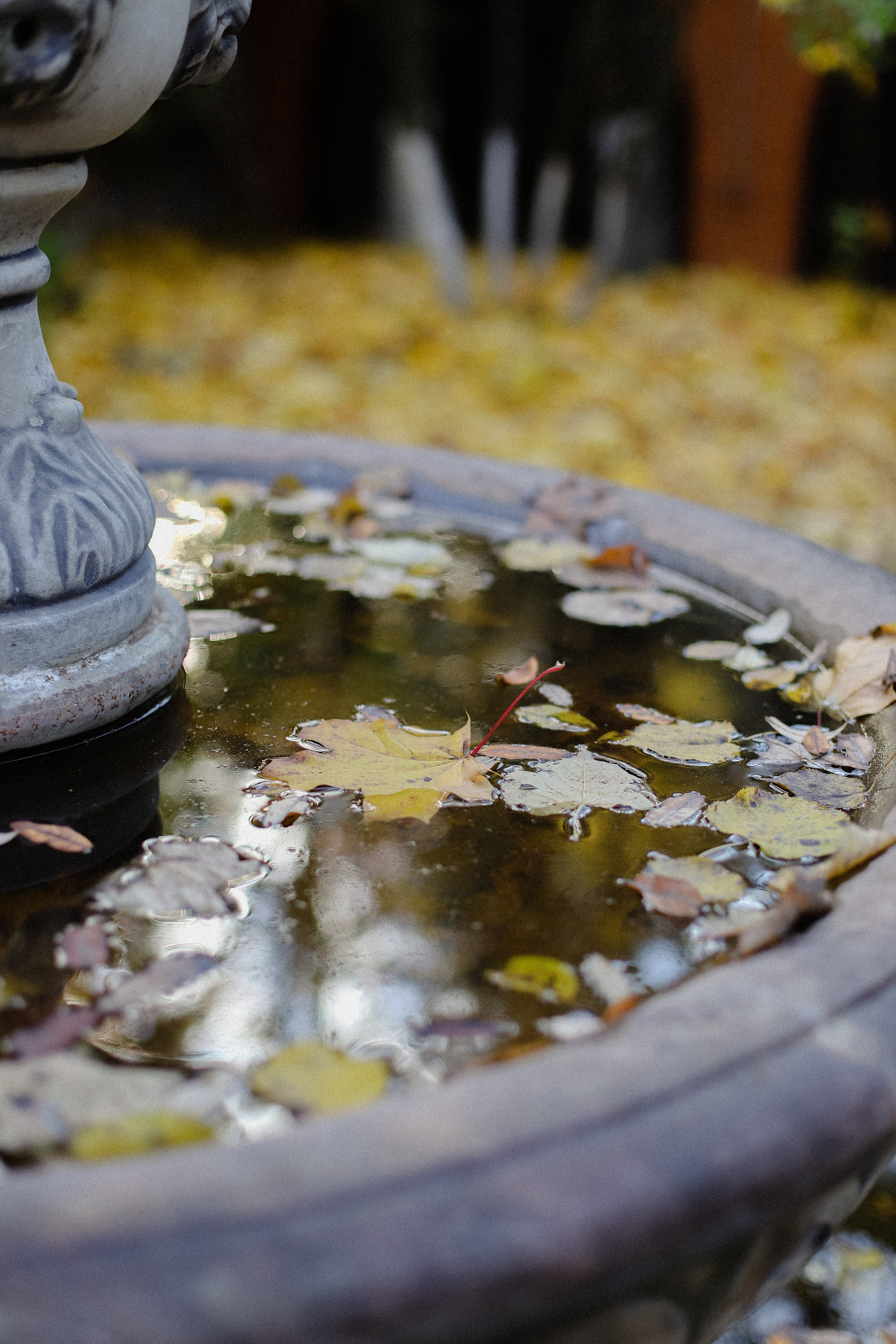 На конюшне. Фотограф в Алматы и Москве Даша Пушкина
