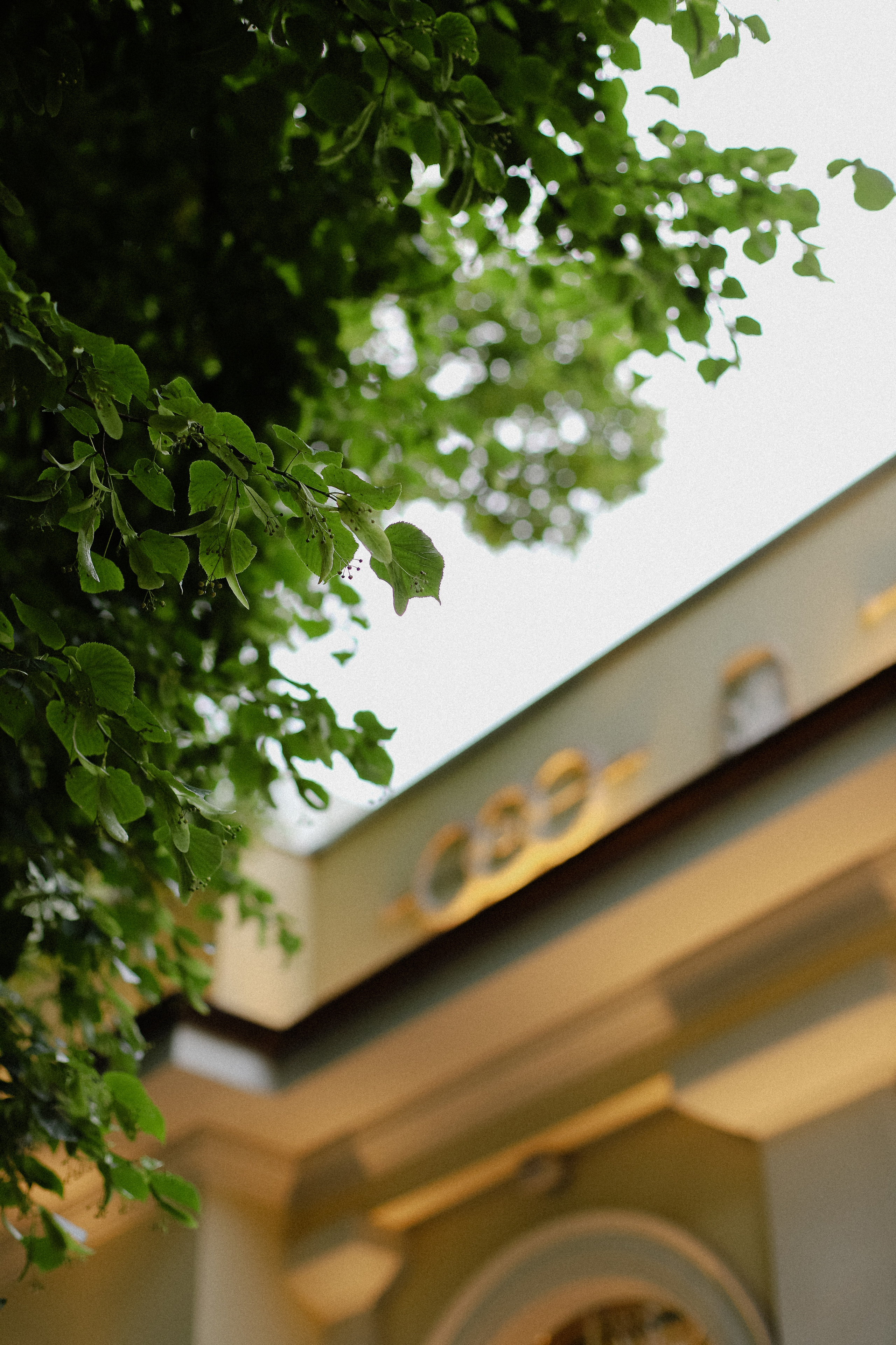 Маша и Саша. Фотограф в Алматы и Москве Даша Пушкина