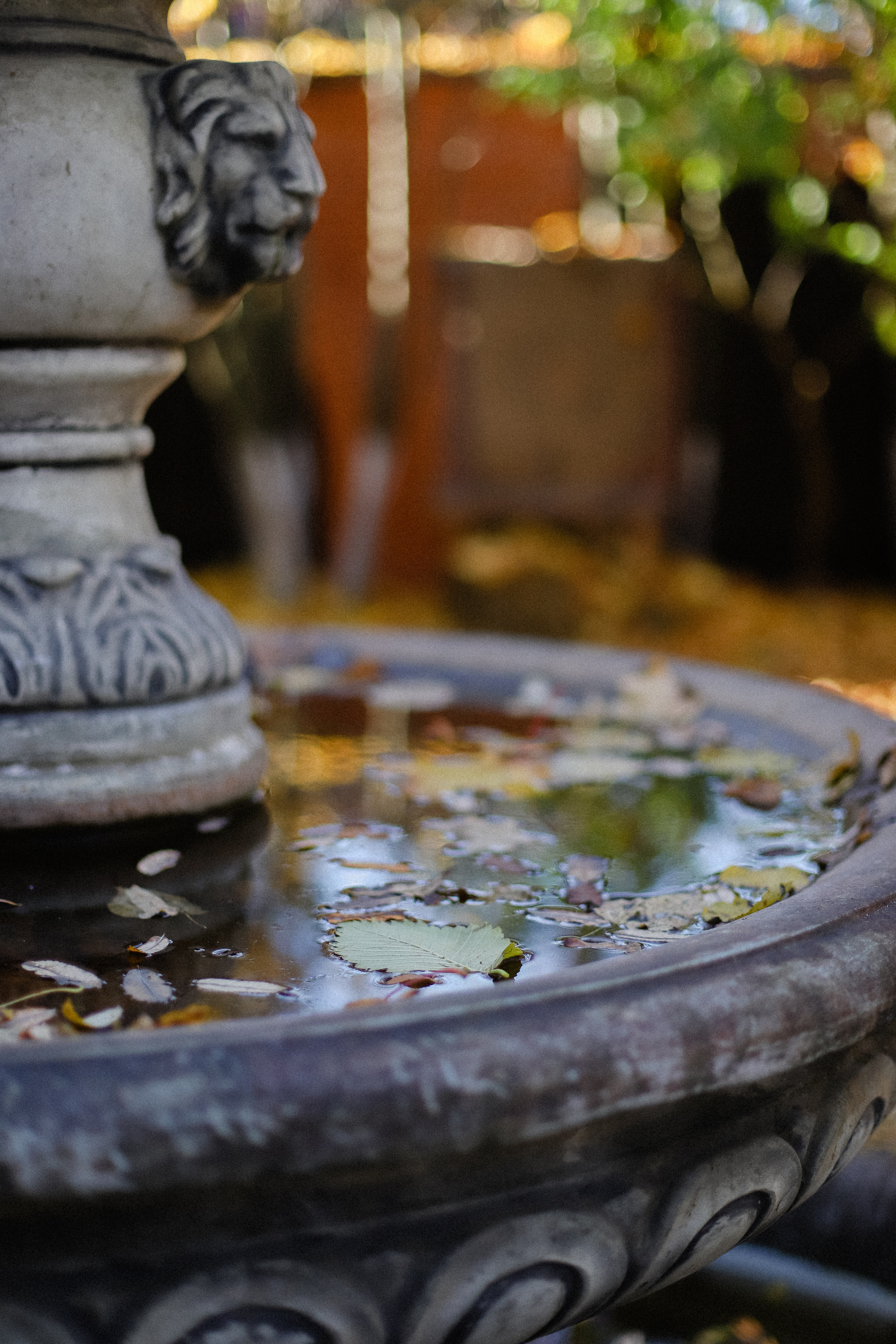 Few Horses осень. Фотограф в Алматы и Москве Даша Пушкина