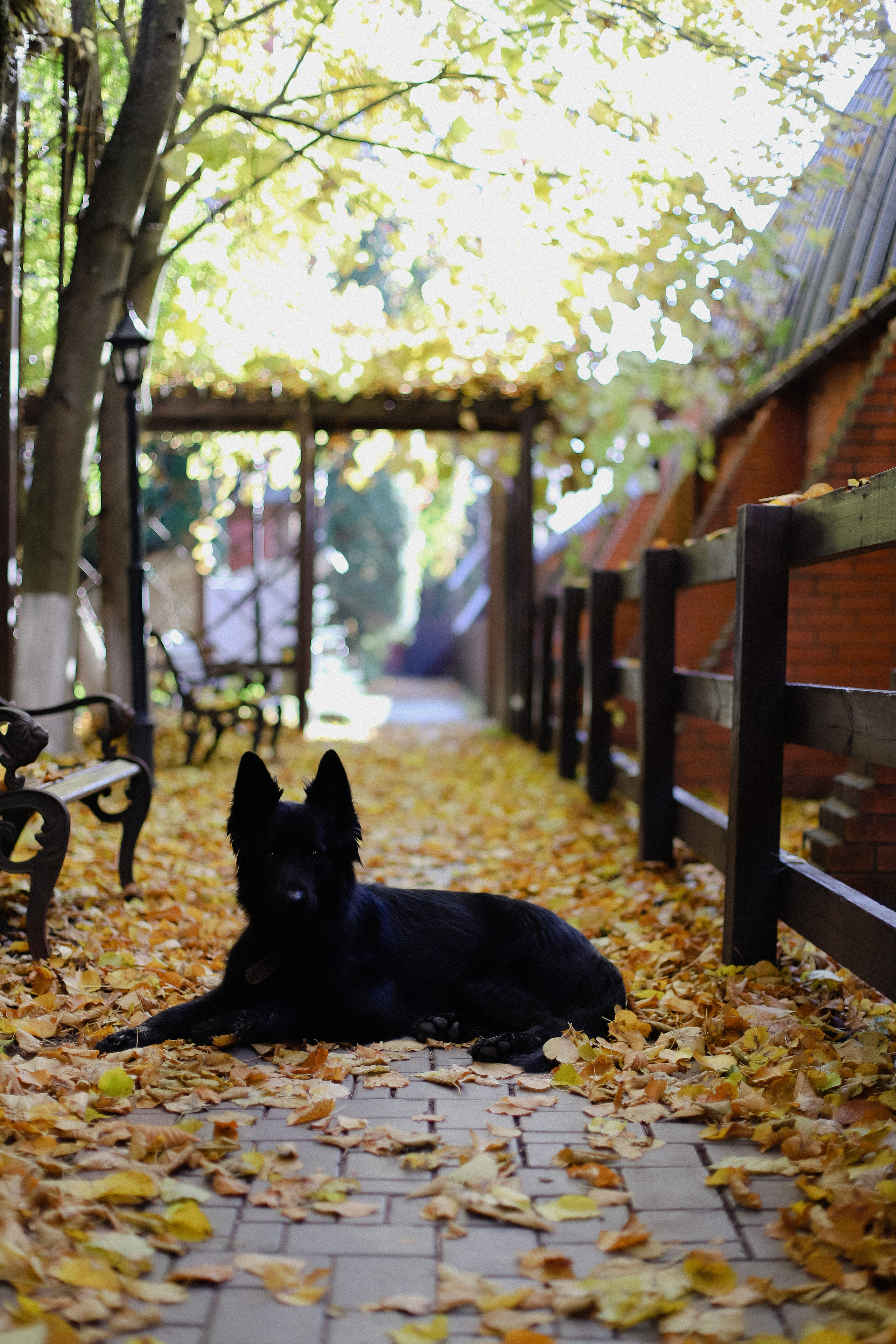 Few Horses осень. Фотограф в Алматы и Москве Даша Пушкина