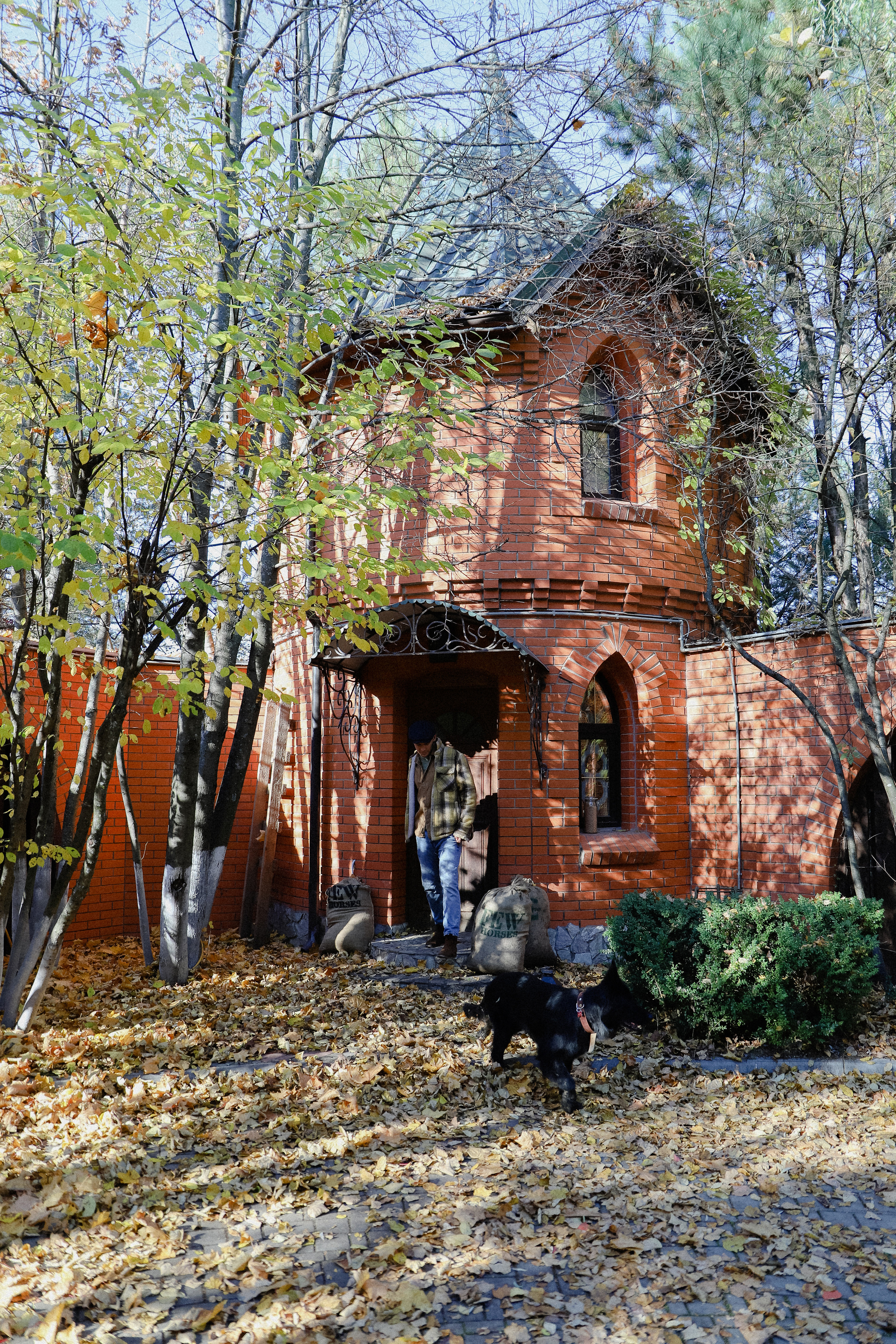 Few Horses осень. Фотограф в Алматы и Москве Даша Пушкина
