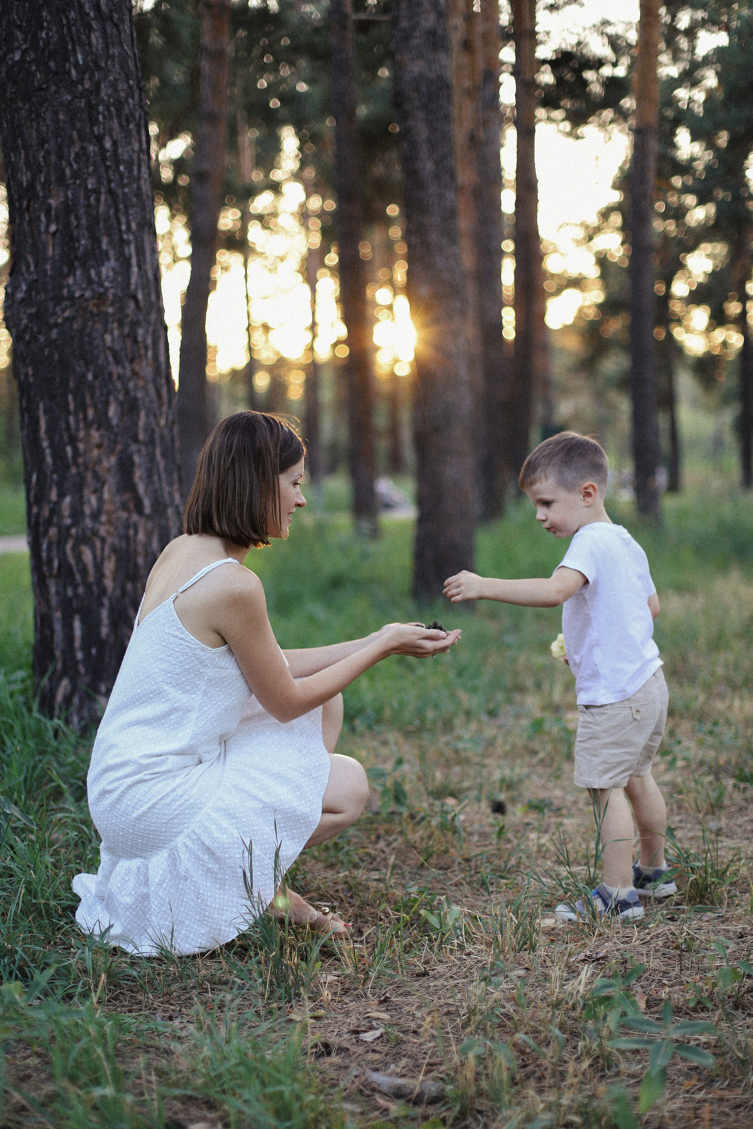 Закат в ботсаду. Фотограф в Алматы и Москве Даша Пушкина