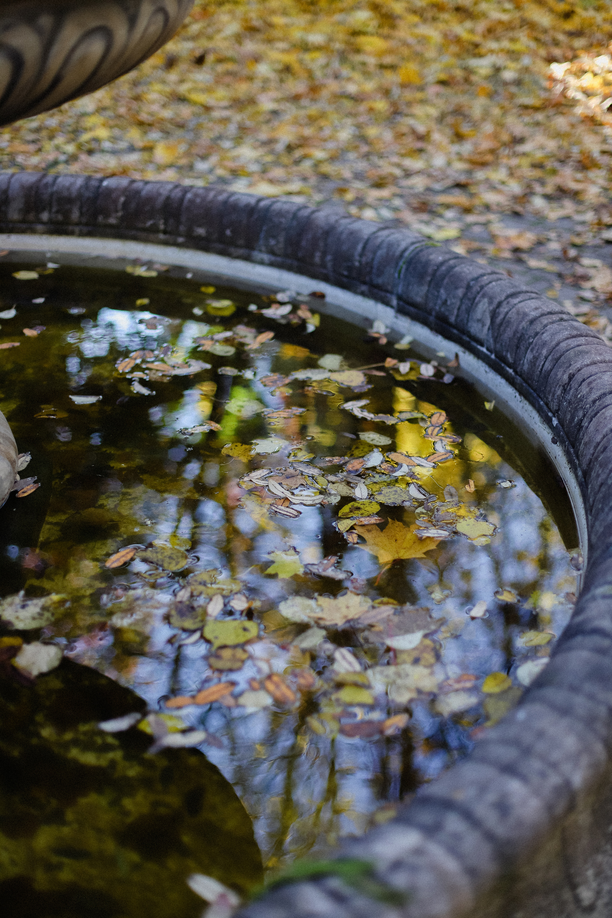 Few Horses осень. Фотограф в Алматы и Москве Даша Пушкина