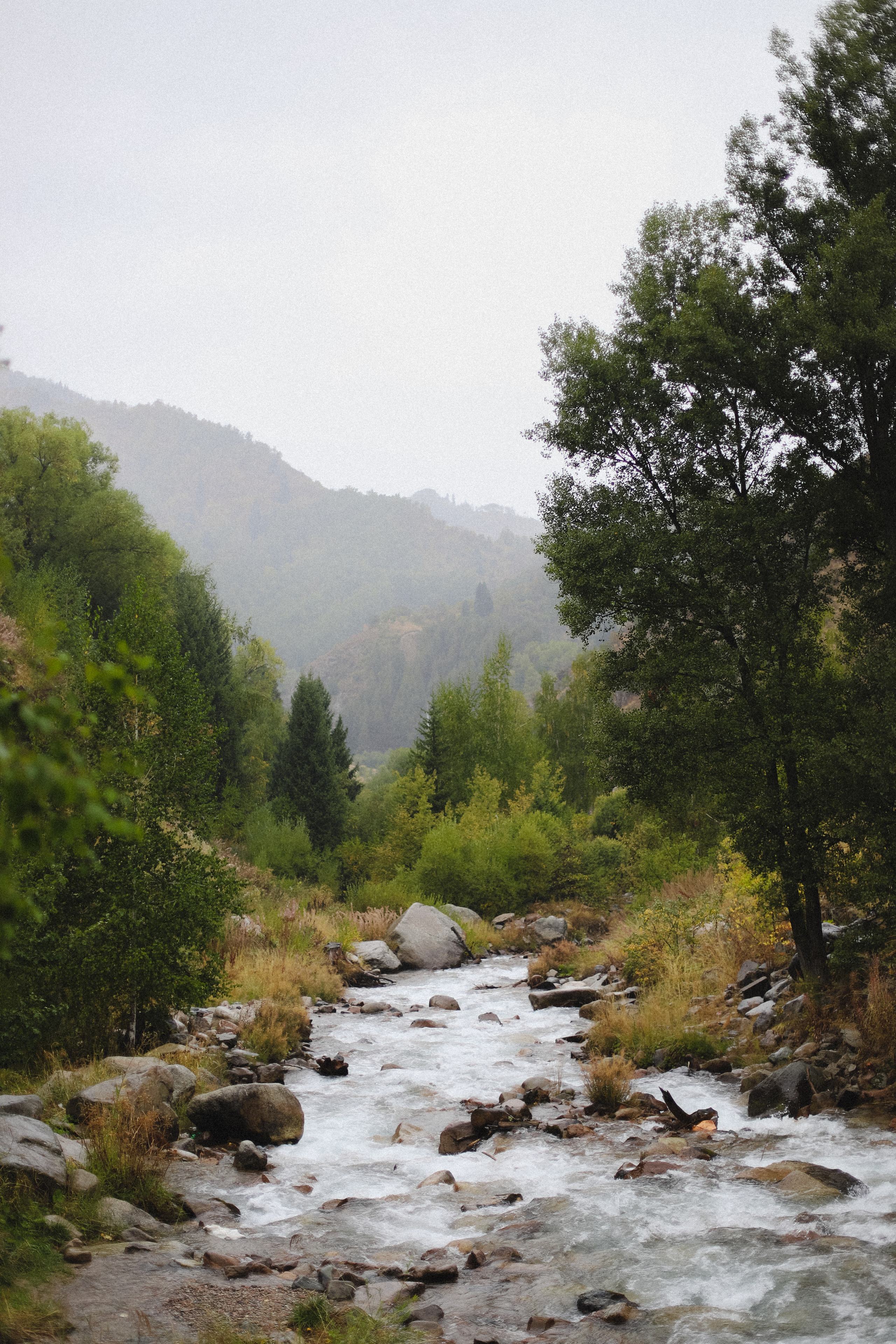 Дождь в горах. Фотограф в Алматы и Москве Даша Пушкина