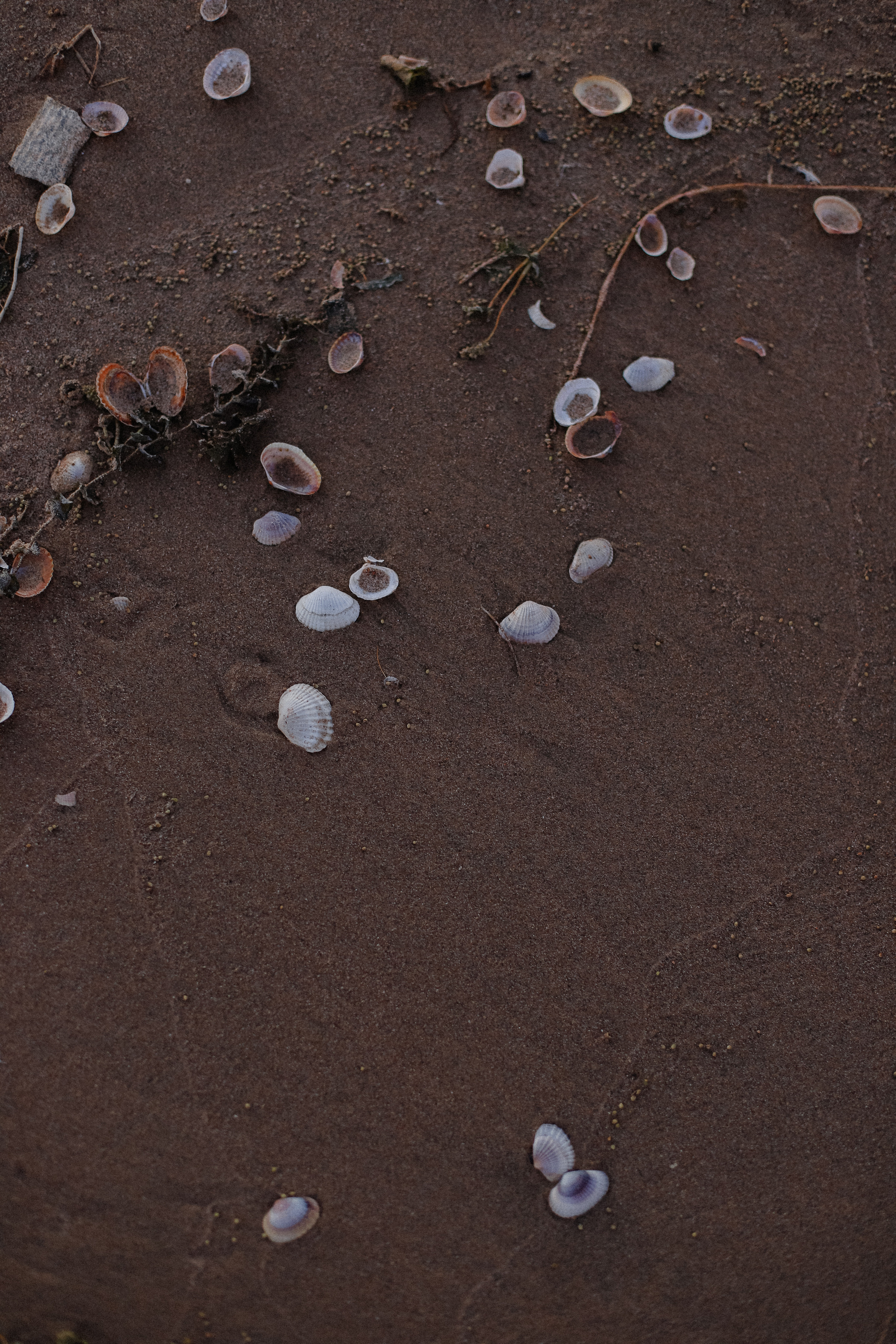 Закатная съемка на Капчагае. Фотограф в Алматы и Москве Даша Пушкина