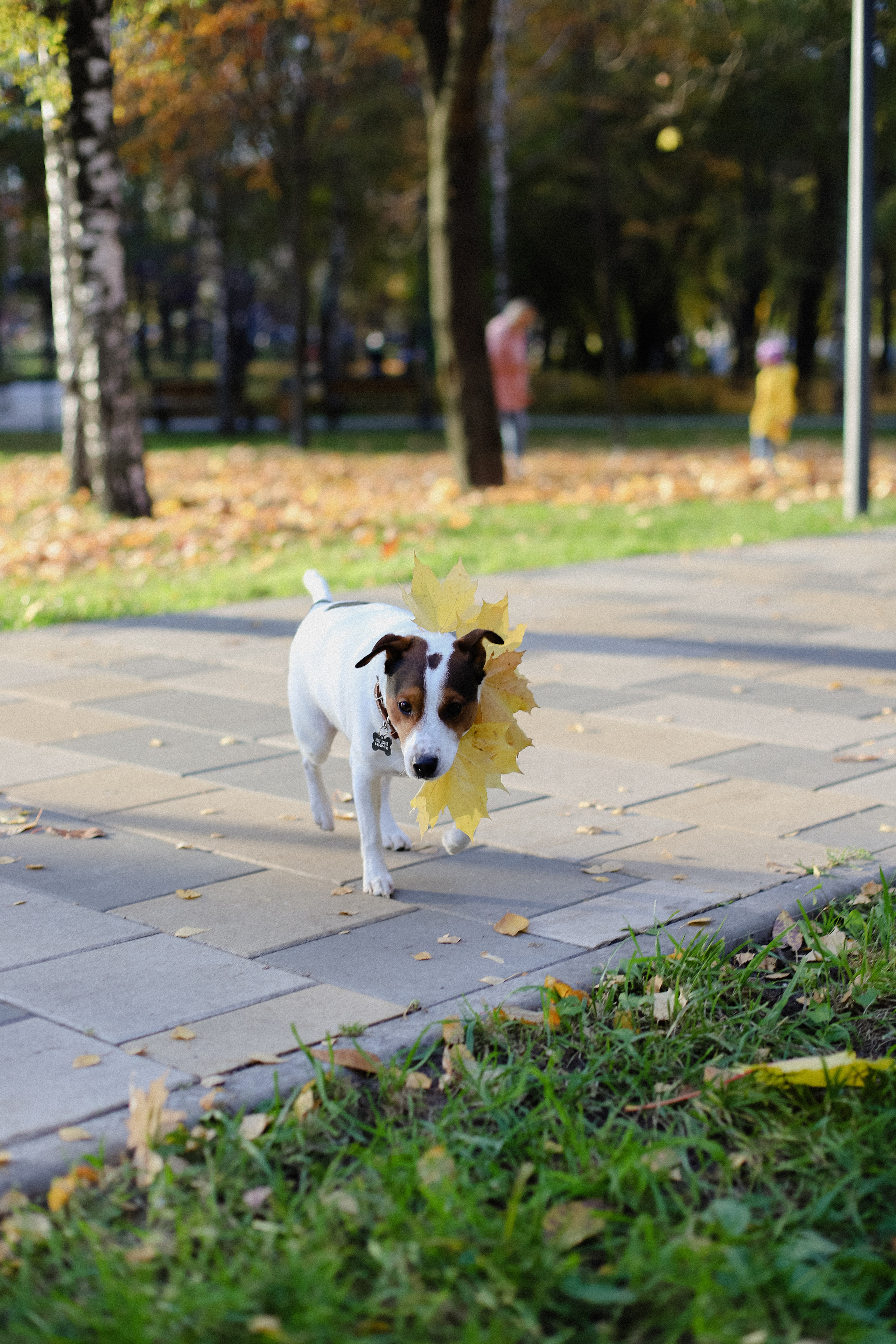Про осень. Фотограф в Алматы и Москве Даша Пушкина