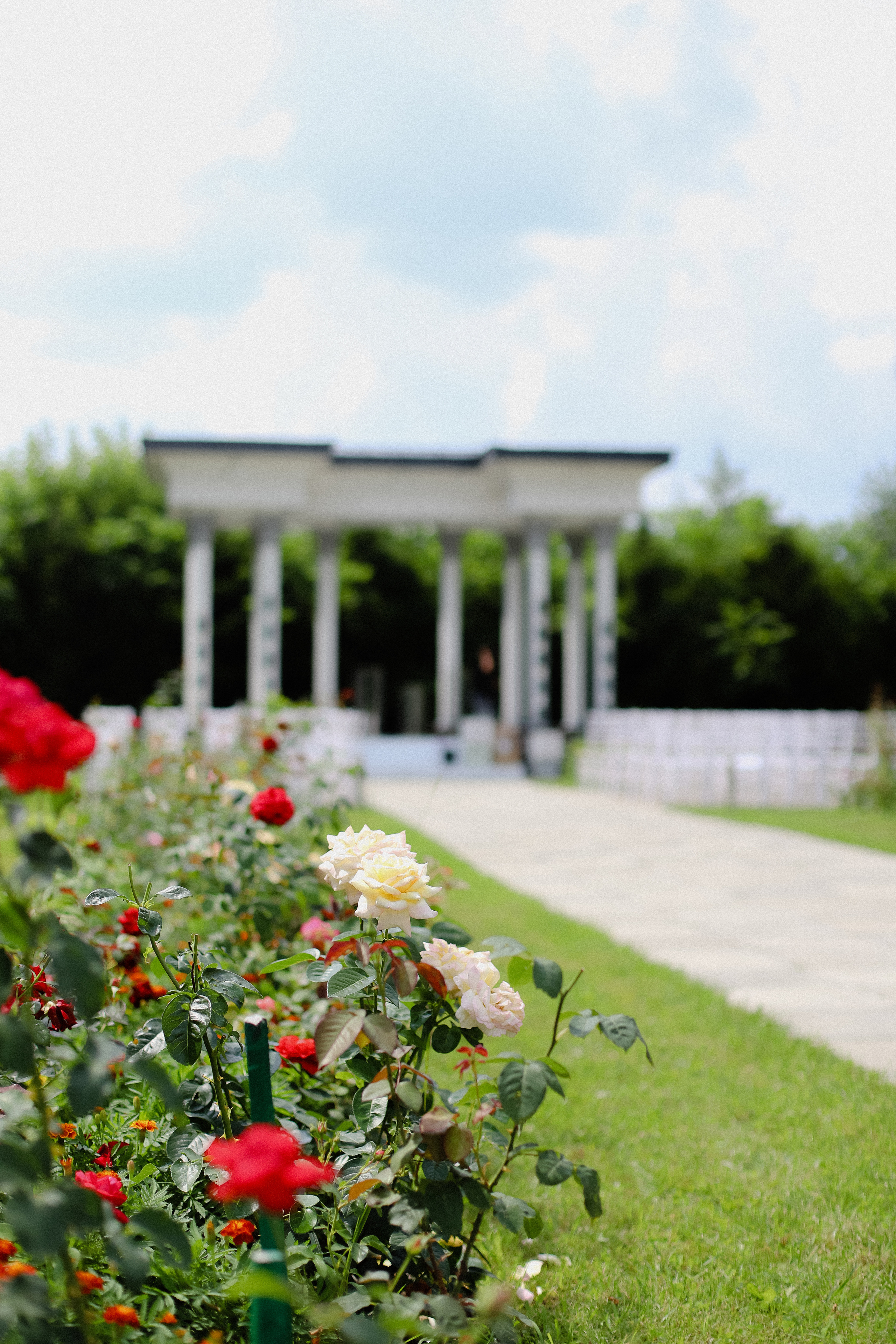 Андрей и Катя. Фотограф в Алматы и Москве Даша Пушкина