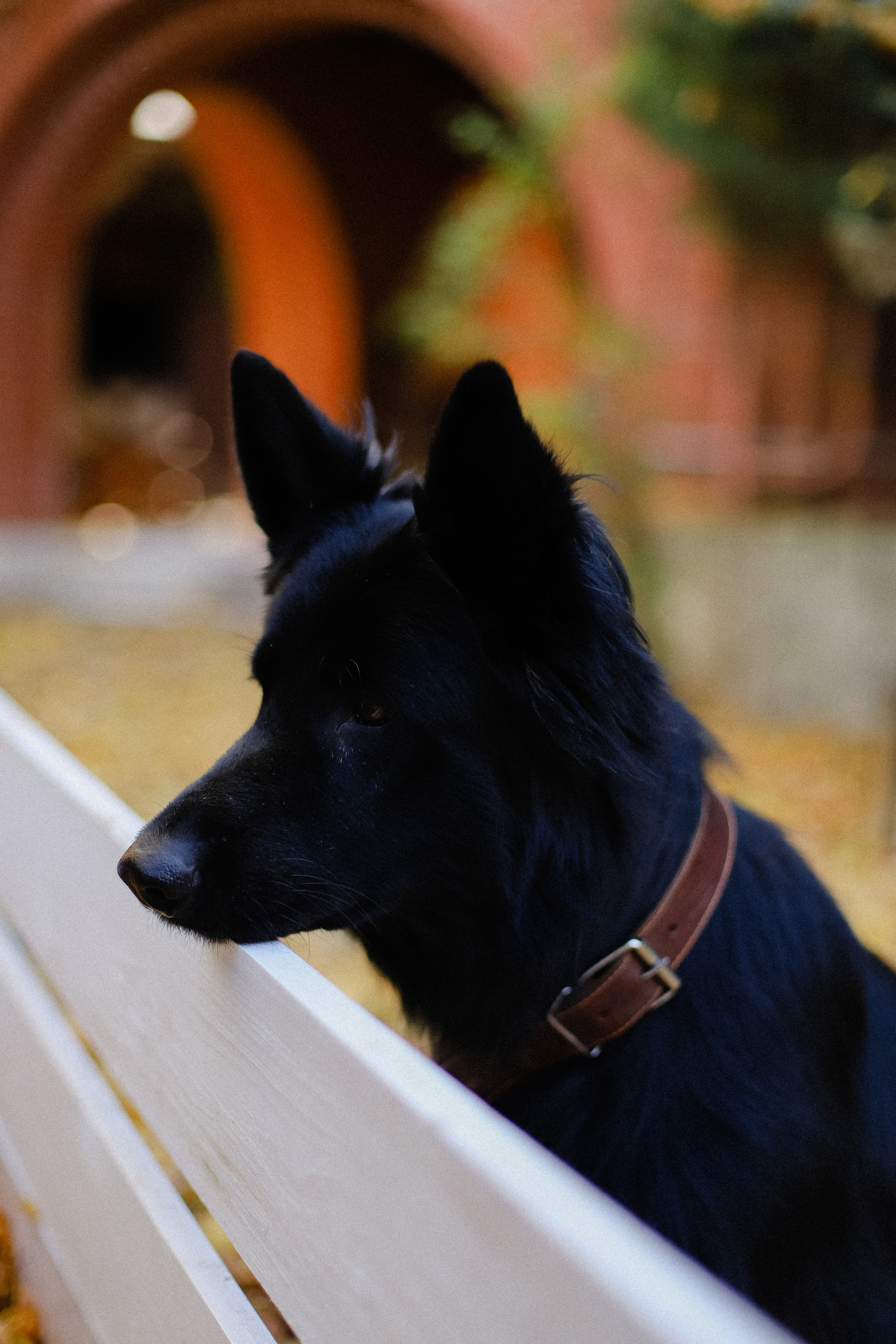 Few Horses осень. Фотограф в Алматы и Москве Даша Пушкина