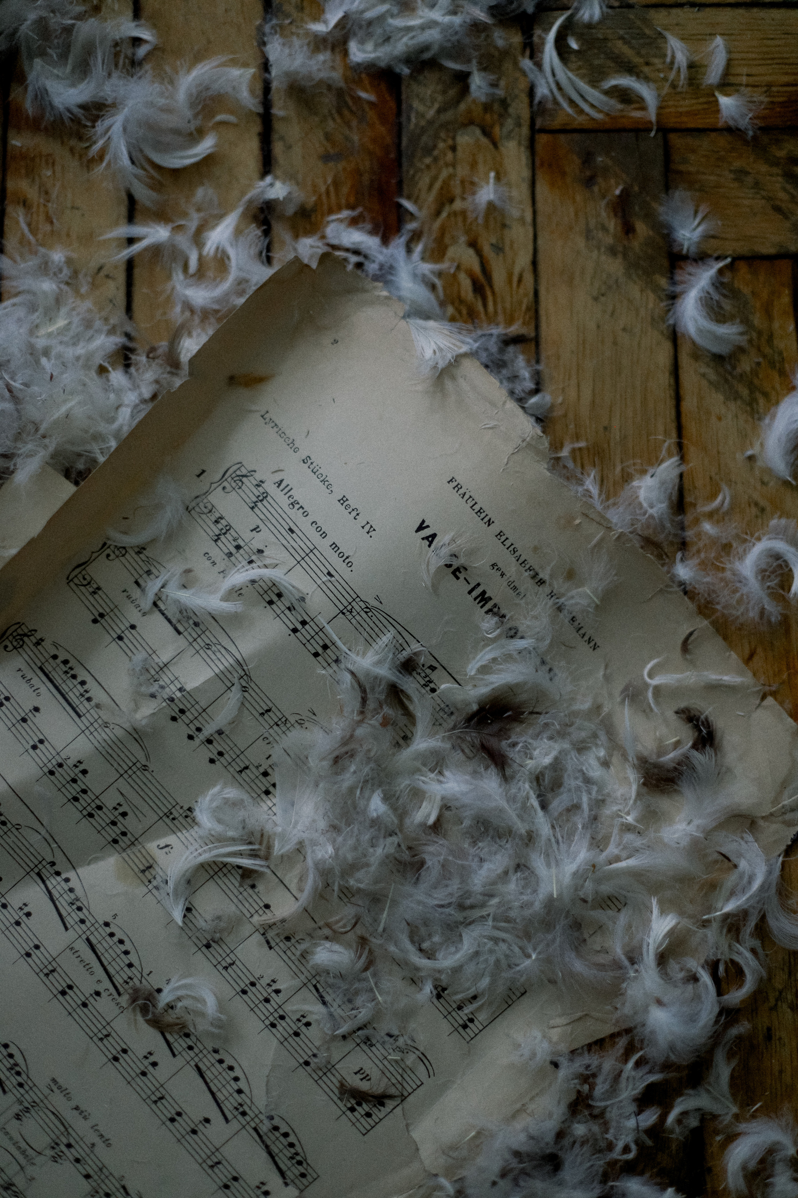 Музыкантка. Фотограф в Алматы и Москве Даша Пушкина