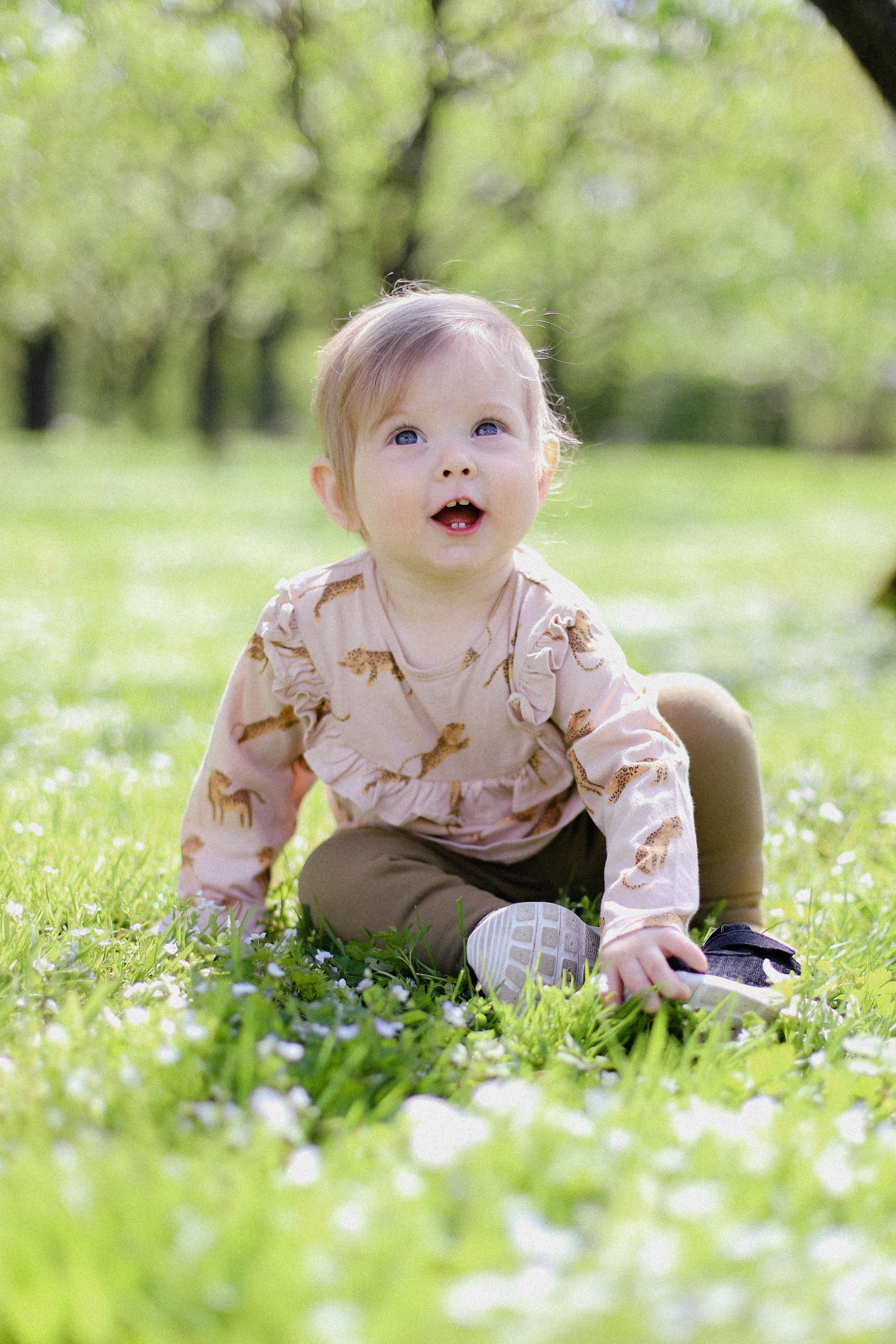 Яблони. Фотограф в Алматы и Москве Даша Пушкина