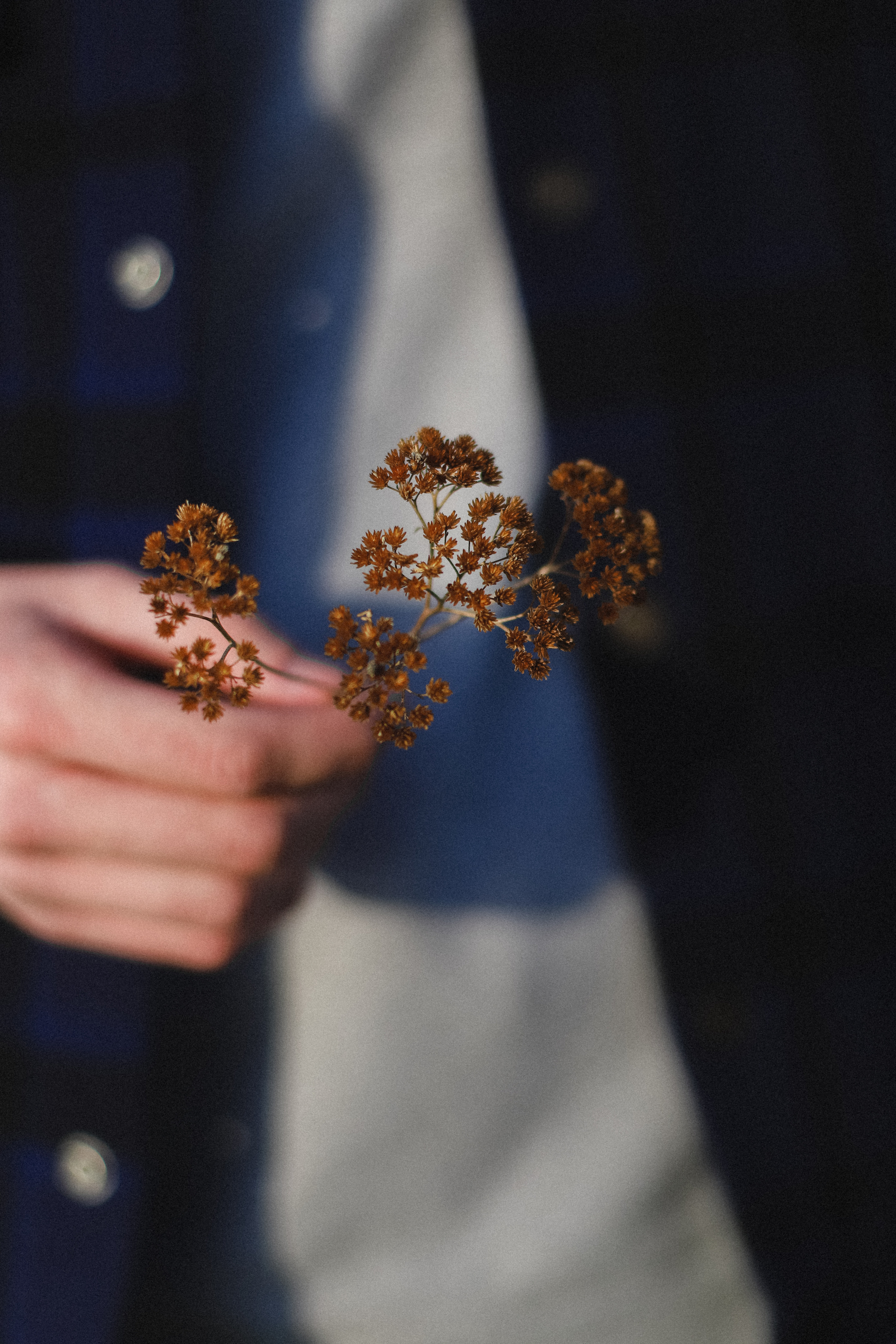 Миша и Надя. Фотограф в Алматы и Москве Даша Пушкина