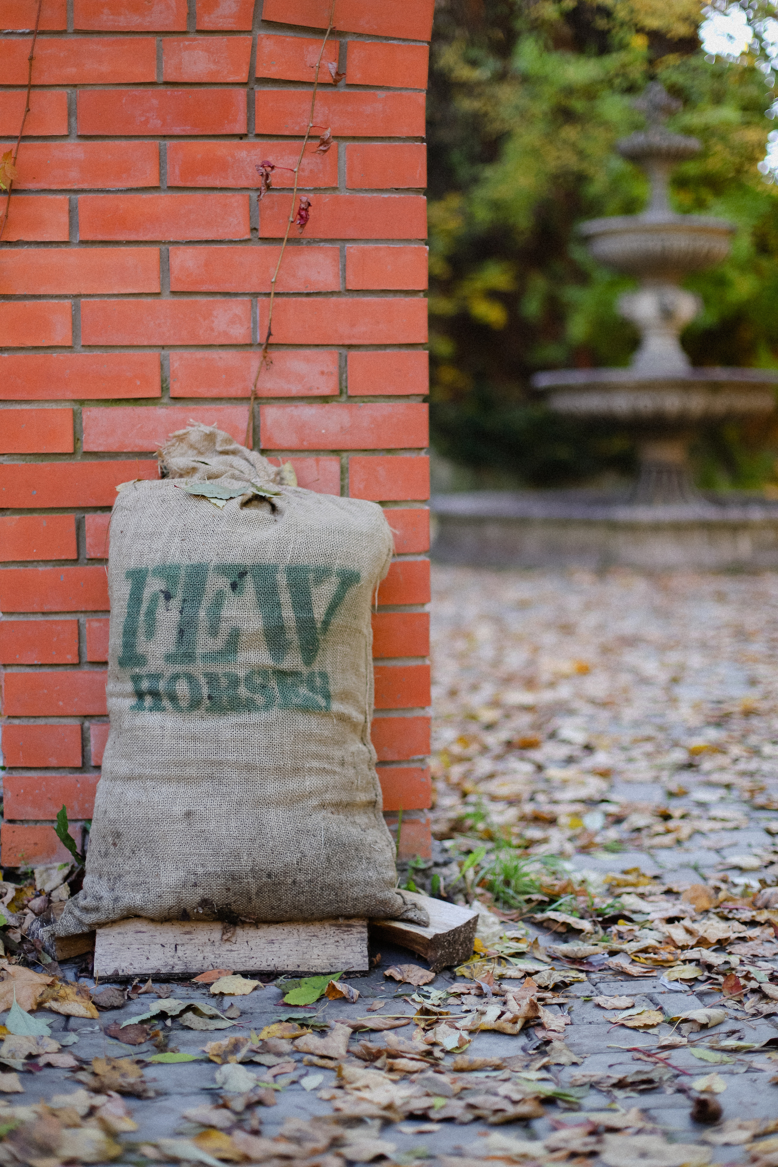 Few Horses осень. Фотограф в Алматы и Москве Даша Пушкина
