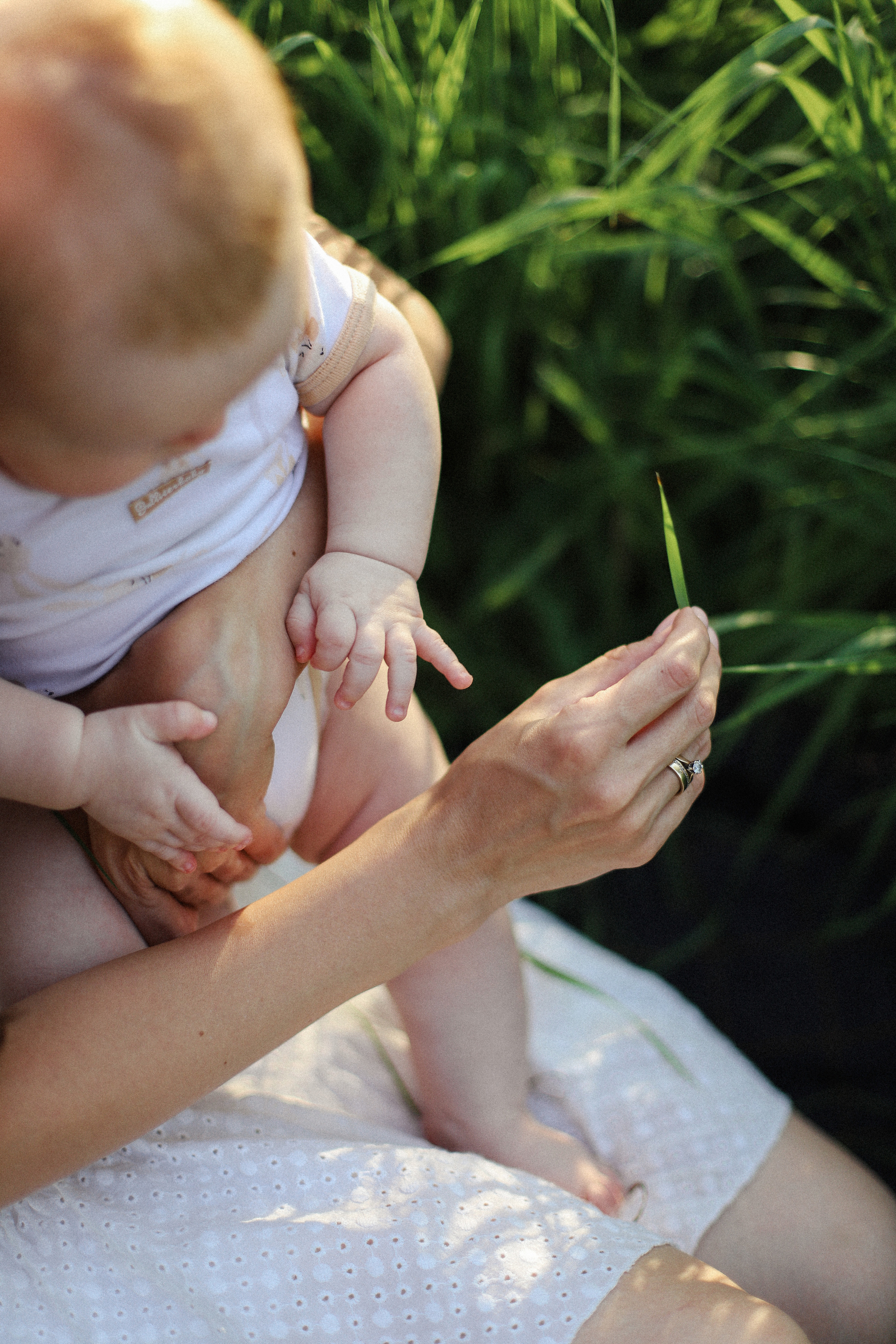 Закат в ботсаду. Фотограф в Алматы и Москве Даша Пушкина