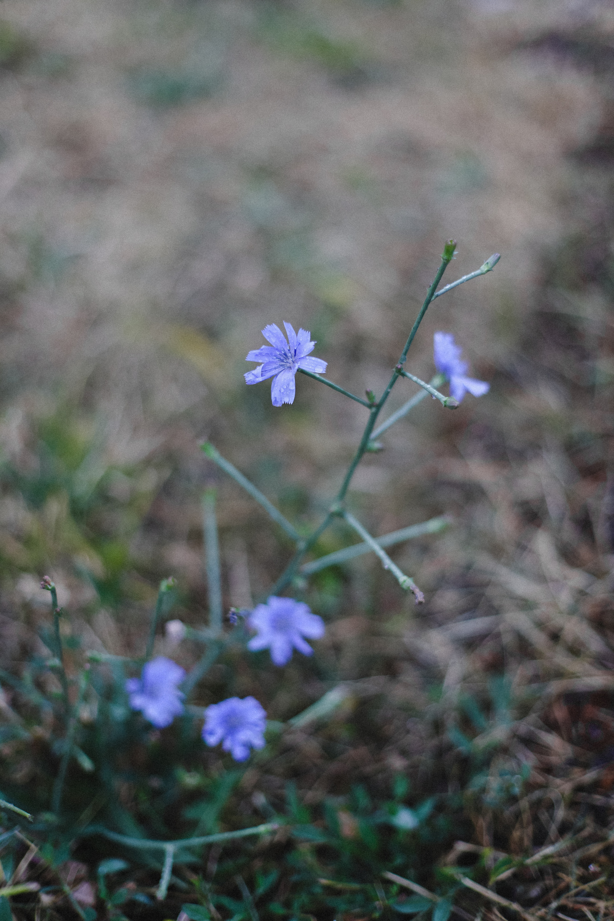 Дождь в горах. Фотограф в Алматы и Москве Даша Пушкина