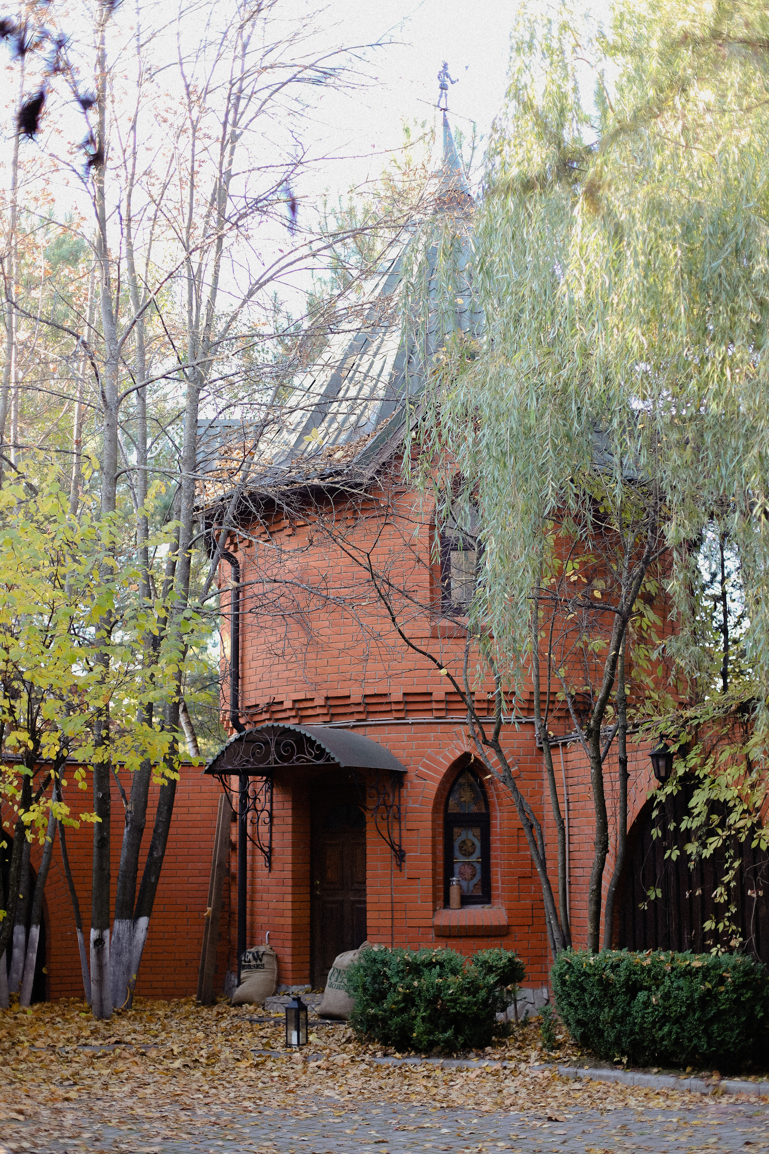 Few Horses осень. Фотограф в Алматы и Москве Даша Пушкина