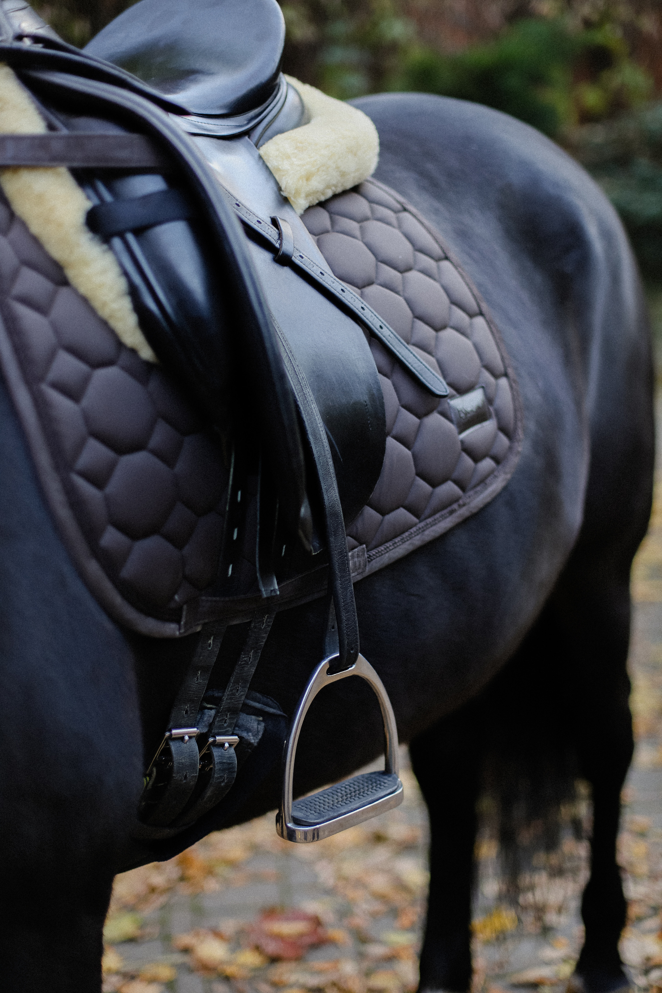 Few Horses осень. Фотограф в Алматы и Москве Даша Пушкина