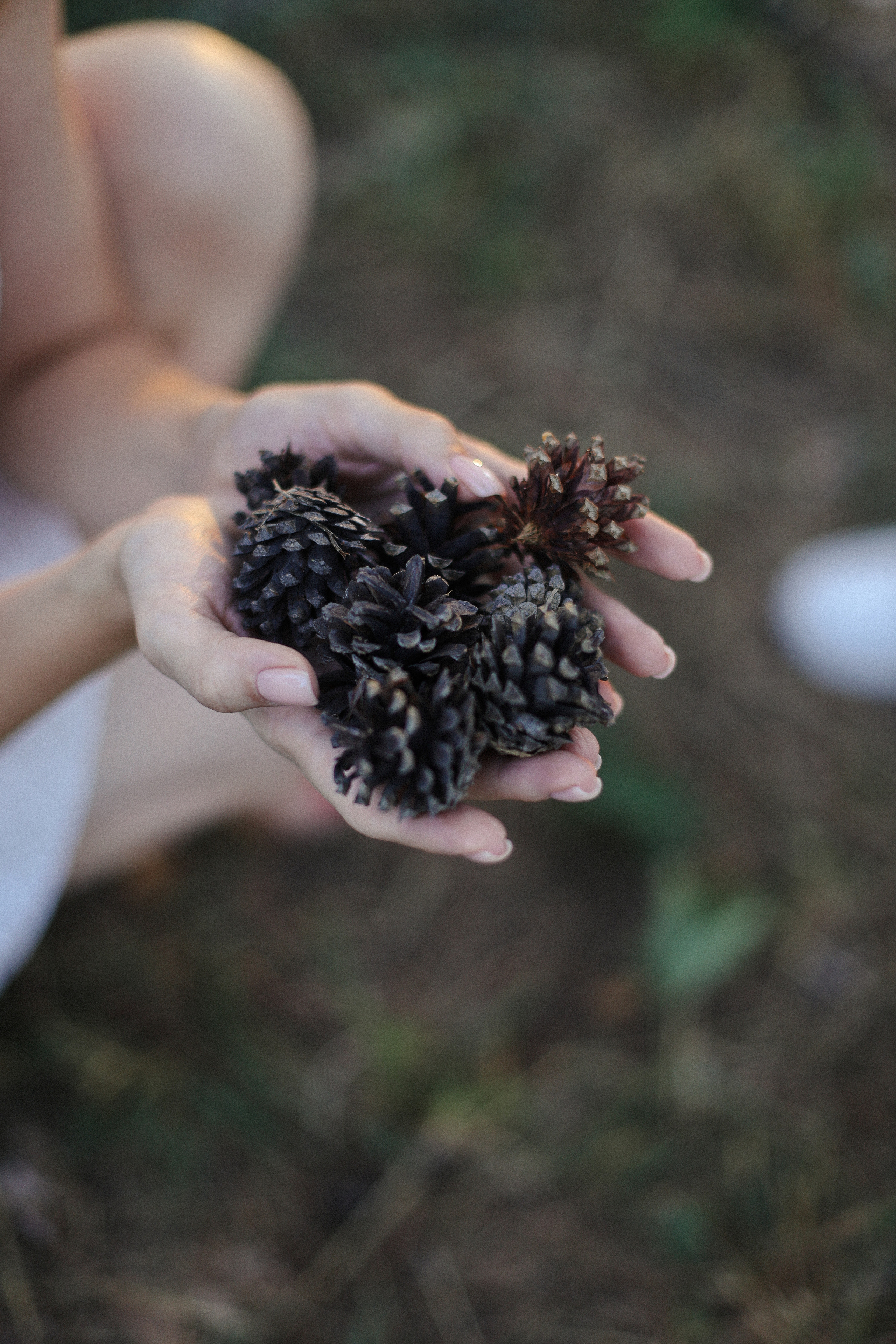 Закат в ботсаду. Фотограф в Алматы и Москве Даша Пушкина