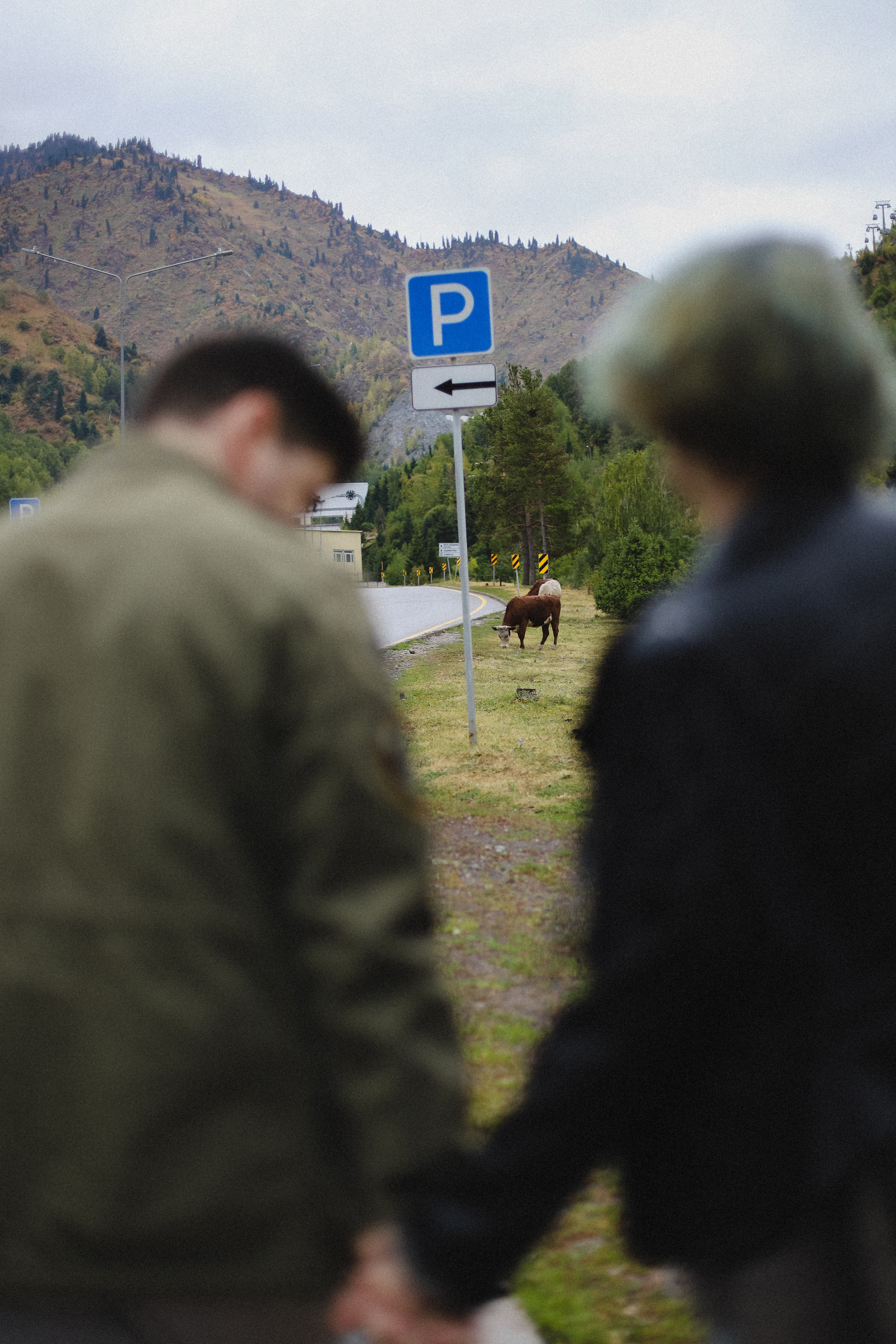 Дождь в горах. Фотограф в Алматы и Москве Даша Пушкина