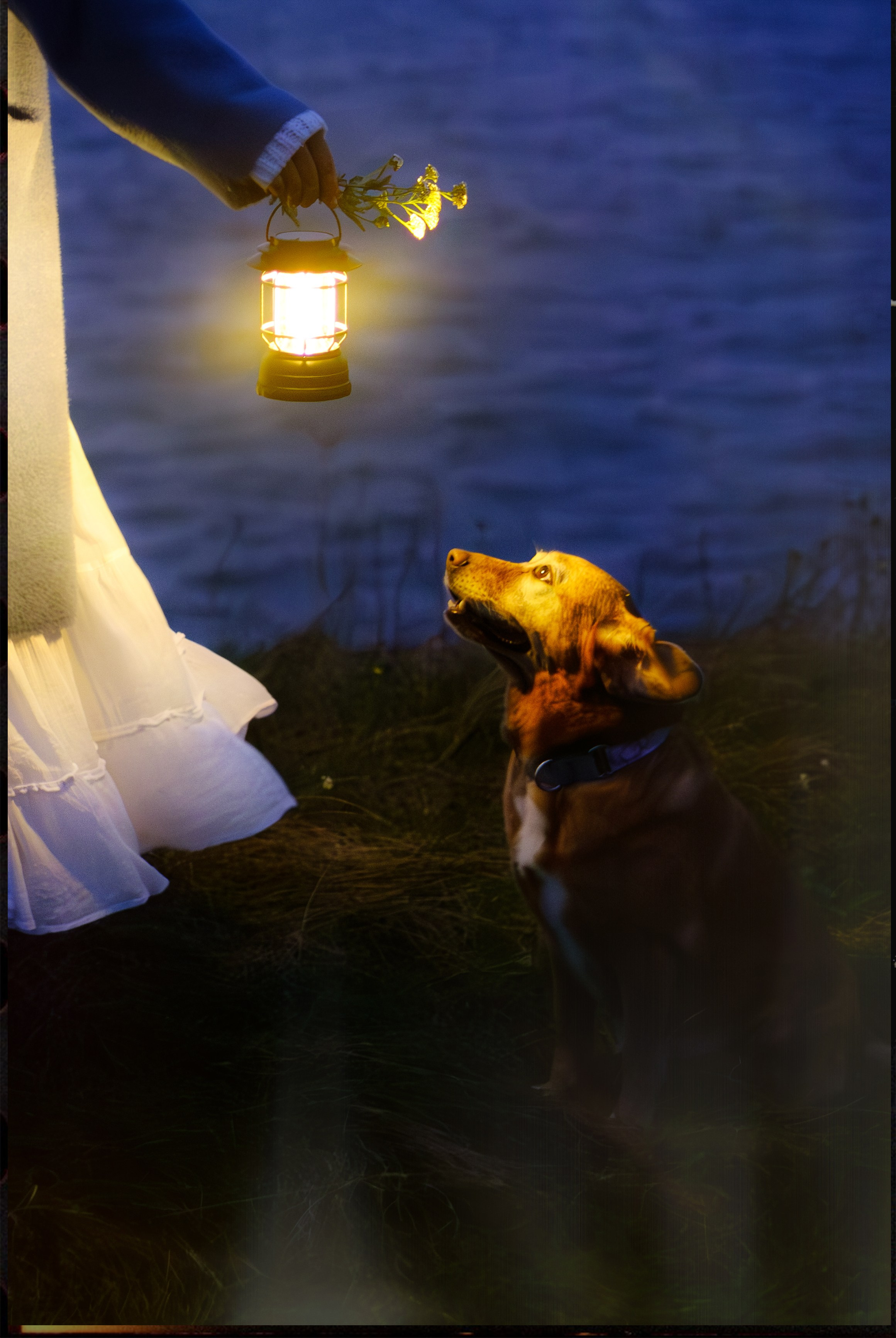 ФОТО. Фотохудожник и видеограф в Петербурге Валерия Кондаурова