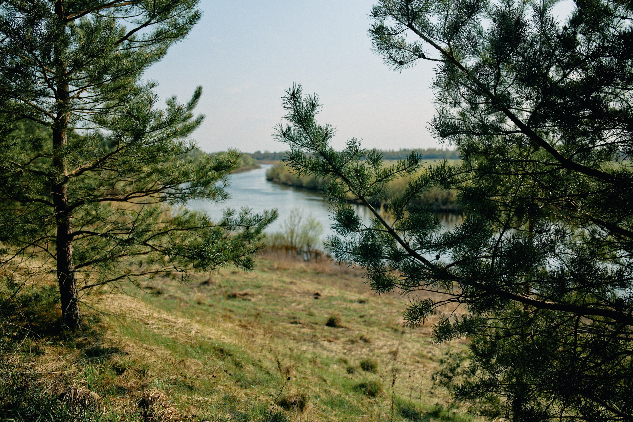 Бутик-отель Поле летом. Профессиональный Фотограф во Владимире, в Москве и в Суздале — Полина Романычева