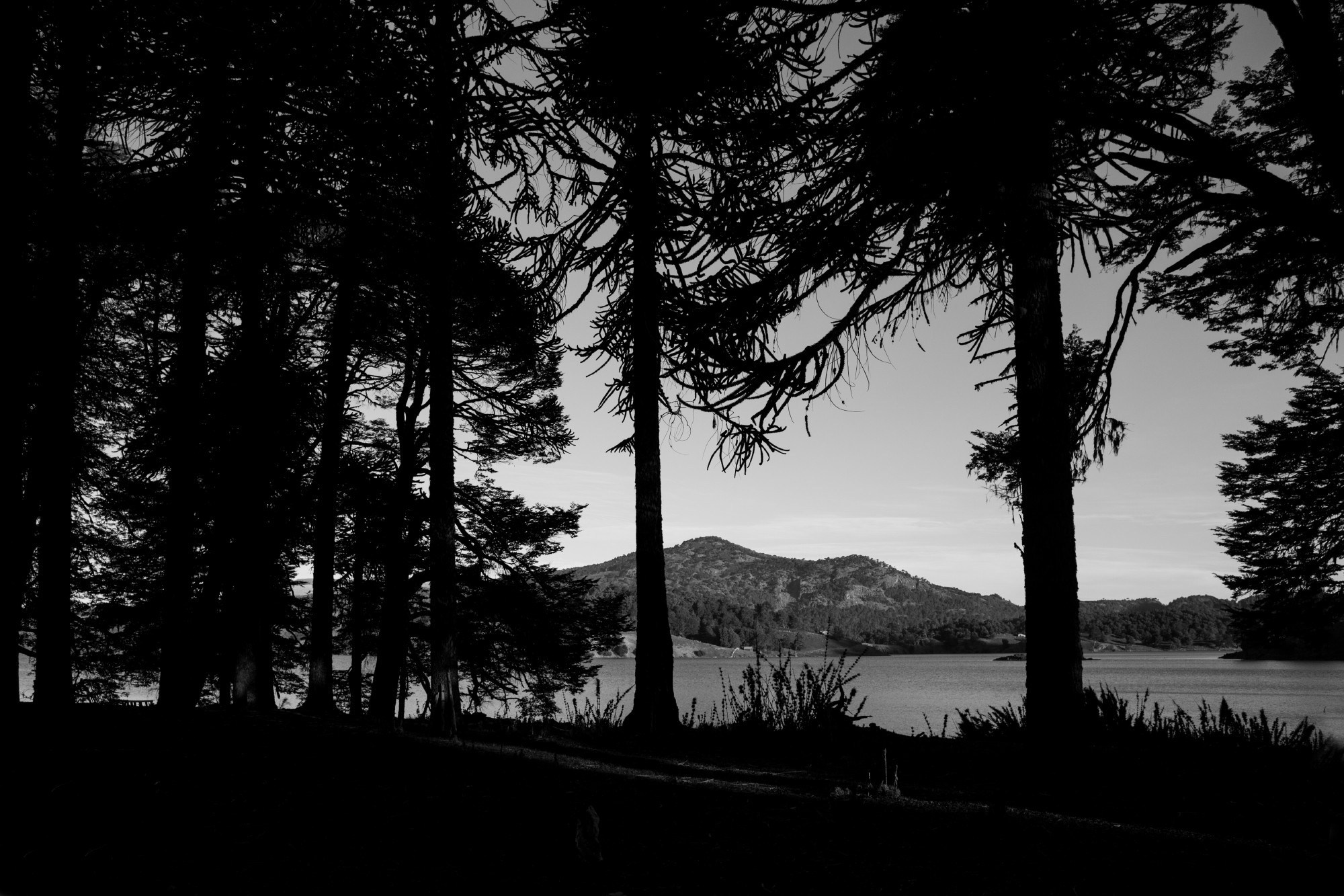 LANDSCAPE. Portrait and business photographer in Moscow Andrey Nikolsky