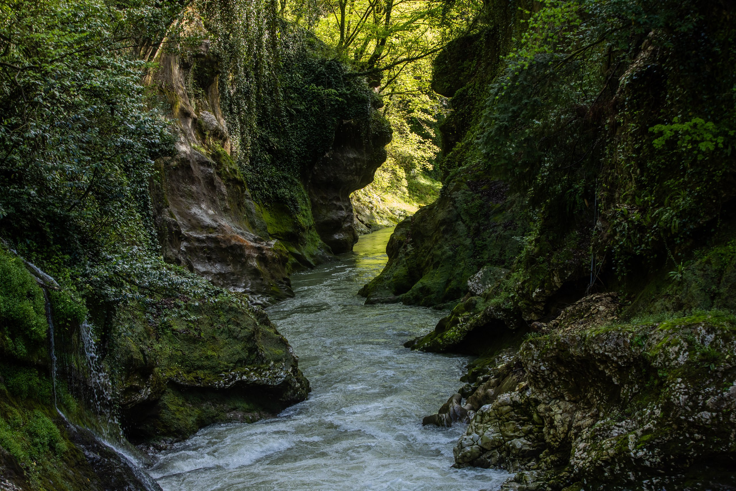 Пейзажная съемка природного заповедника. Промышленный фотограф, фоторепортаж, Россия
