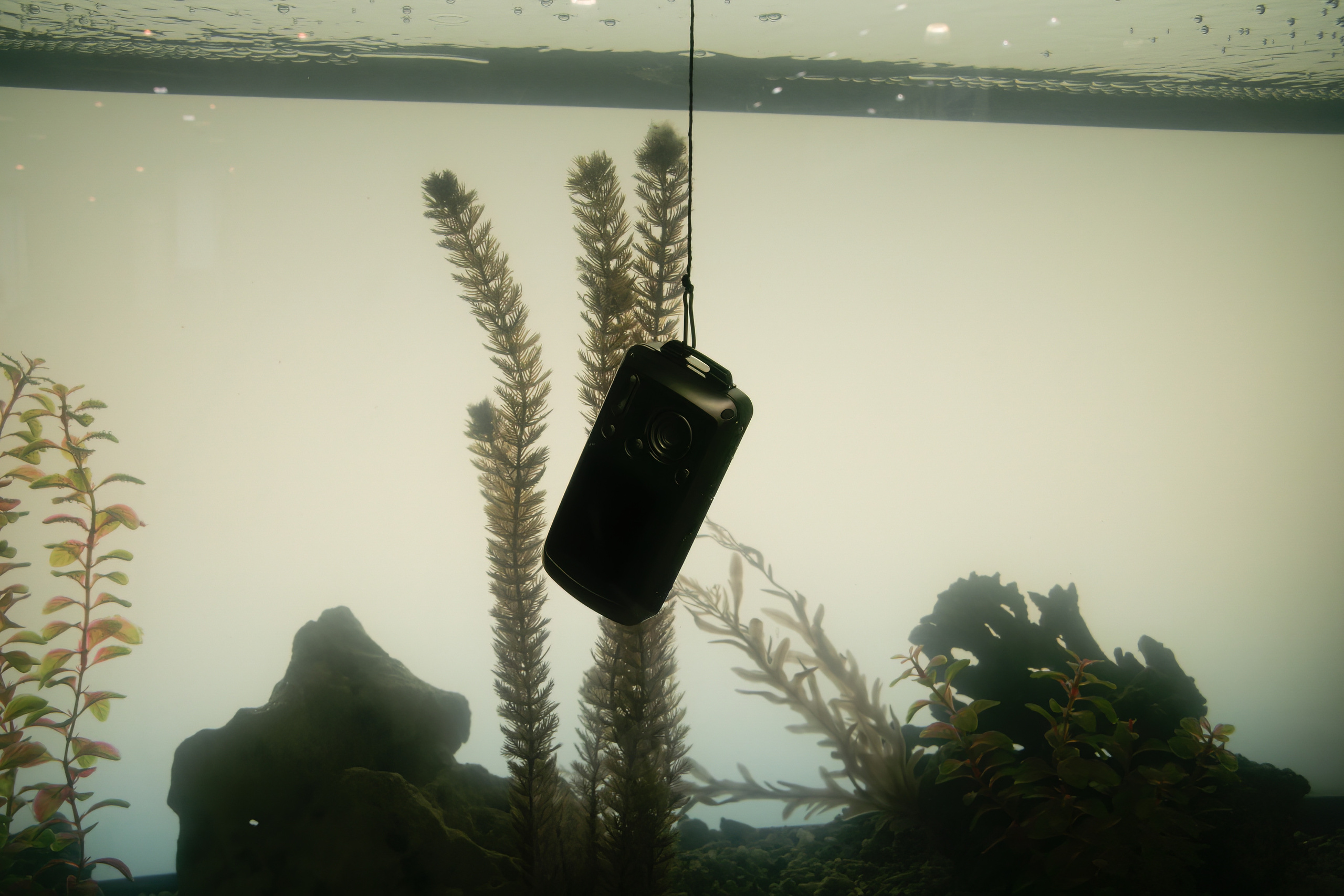 6 международная выставка Фотофорум 2006 — День 2: Часть 4. Фотограф — видеограф в Москве Дмитрий Менделеев