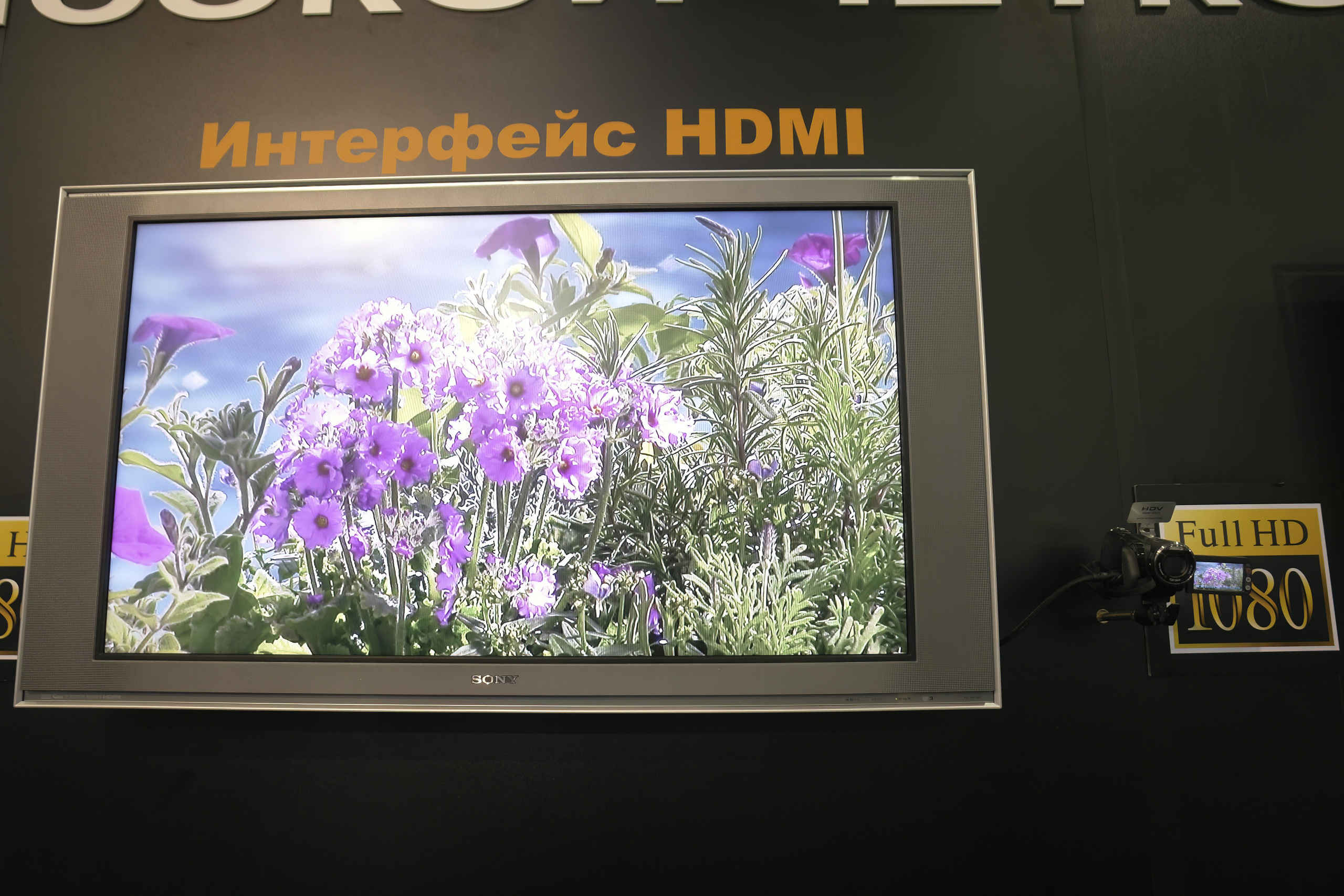 6 международная выставка Фотофорум 2006 — День 2: Часть 3. Фотограф — видеограф в Москве Дмитрий Менделеев