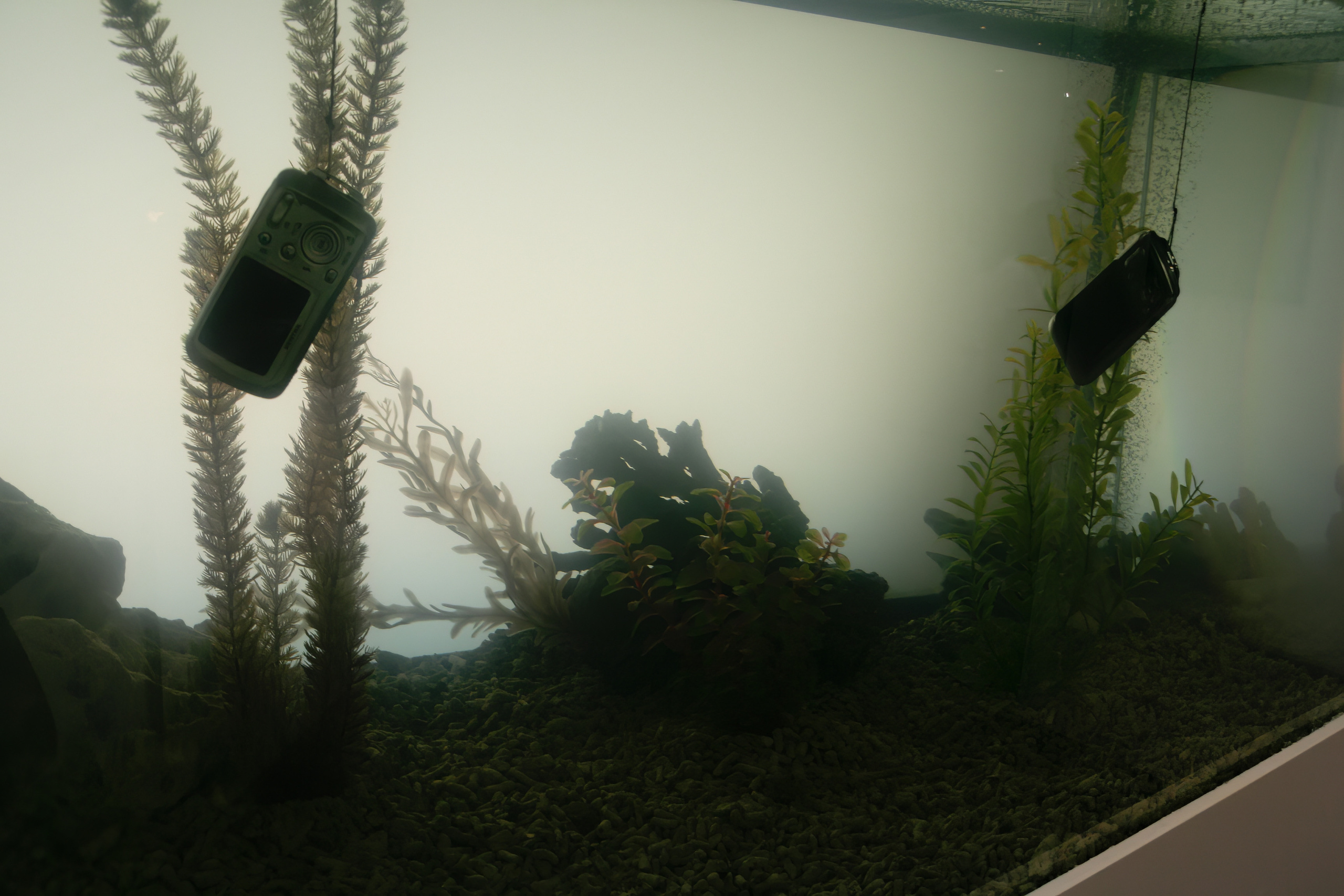 6 международная выставка Фотофорум 2006 — День 2: Часть 4. Фотограф — видеограф в Москве Дмитрий Менделеев