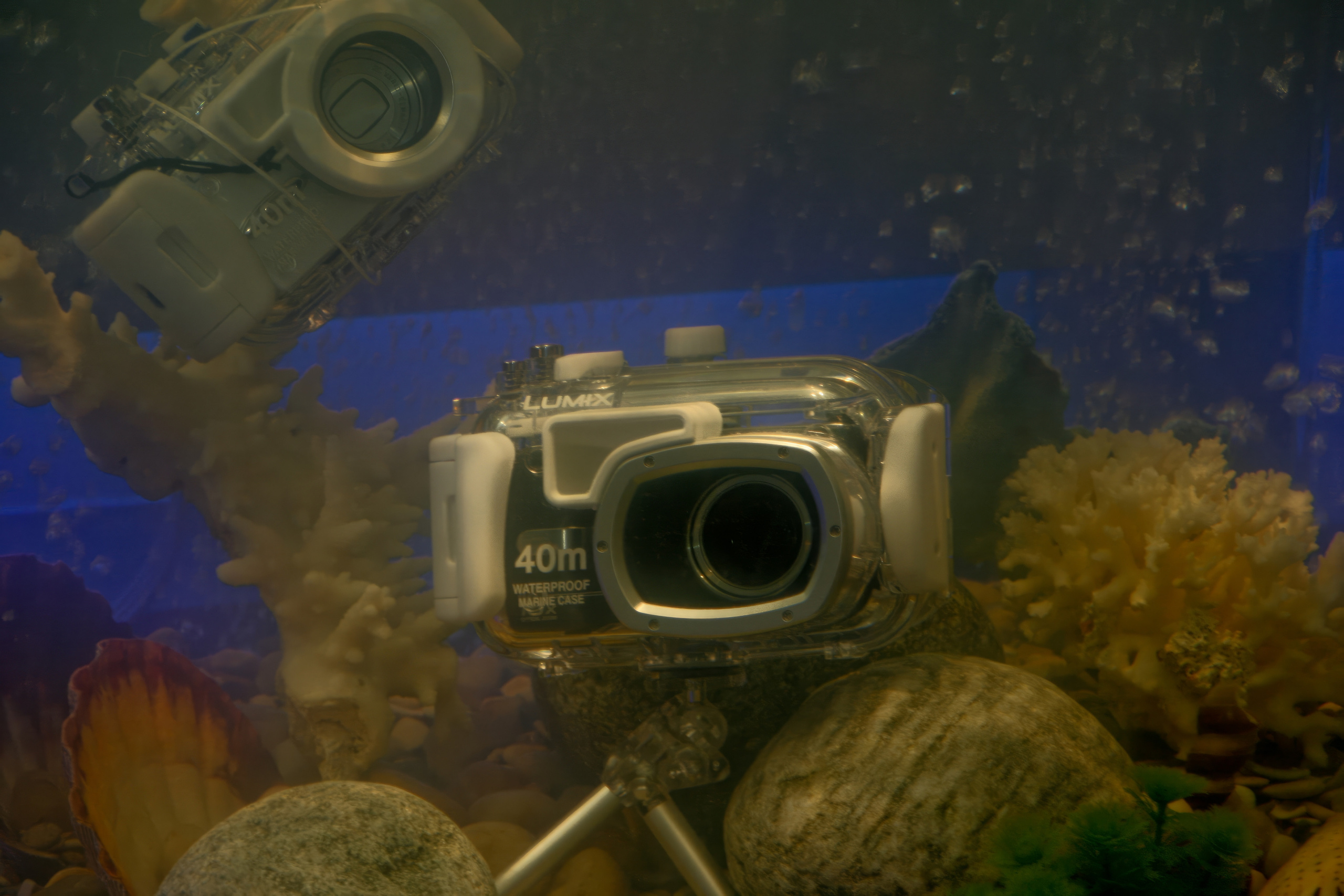 6 международная выставка в Крокус Экспо Фотофорум 2006 — День 1: Часть. Фотограф — видеограф в Москве Дмитрий Менделеев