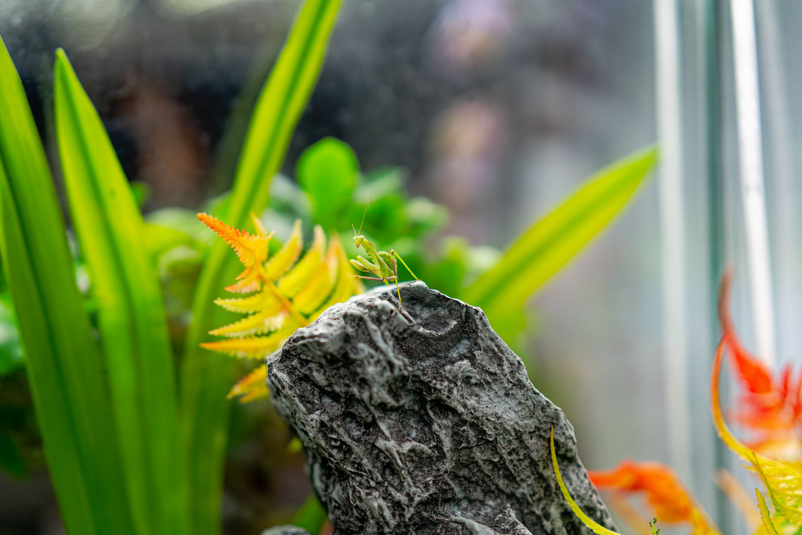 С фотофорума 2019. Фотограф — видеограф в Москве Дмитрий Менделеев