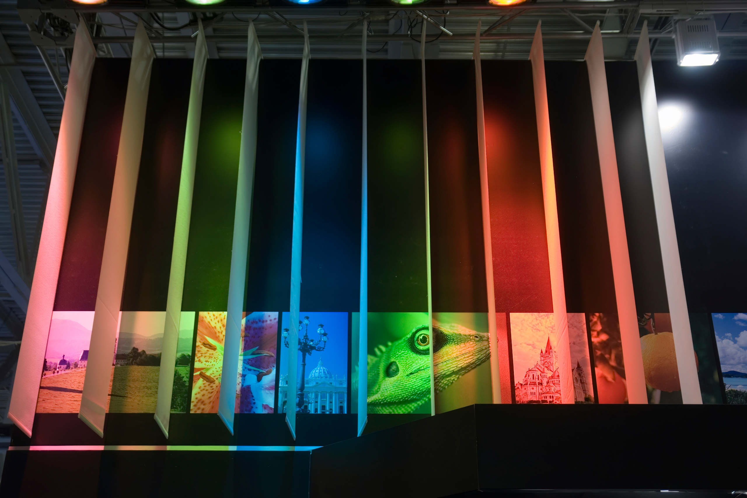 6 международная выставка Фотофорум 2006 — День 1: Часть 1. Фотограф — видеограф в Москве Дмитрий Менделеев