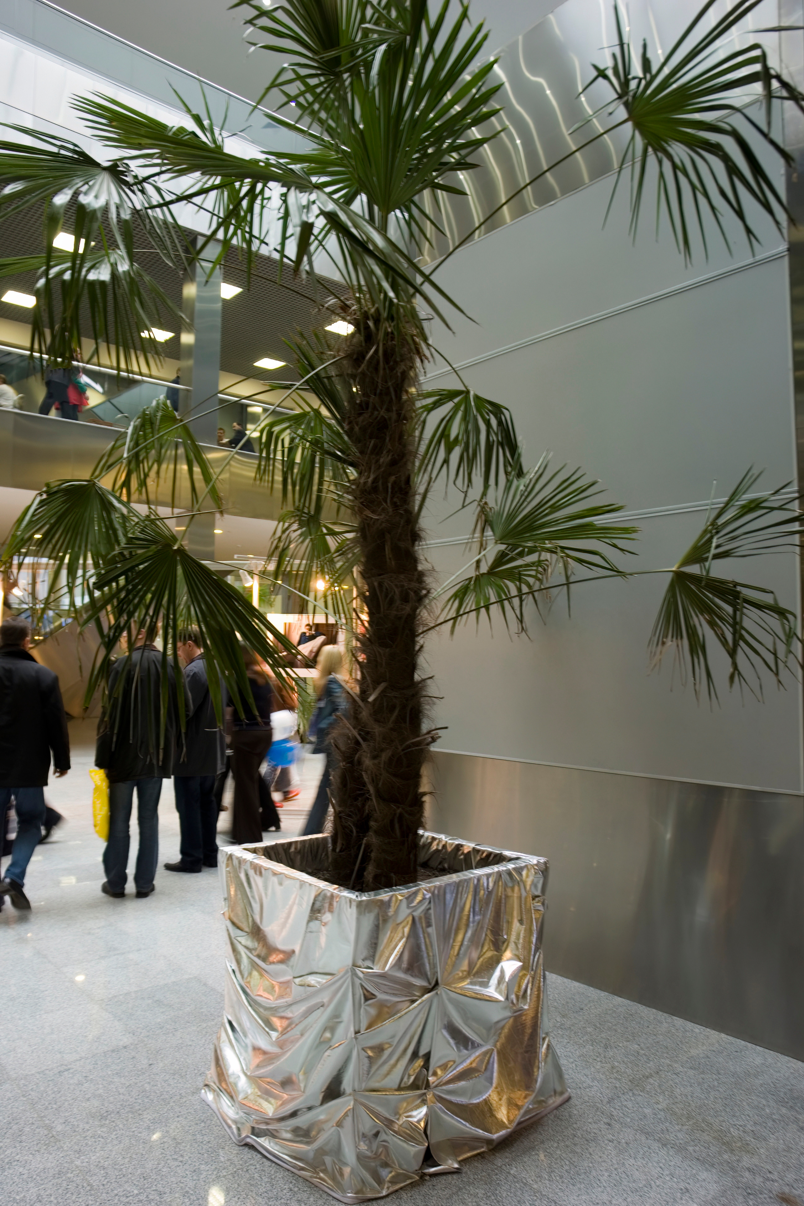 6 международная выставка Фотофорум 2006 — День 2: Часть 3. Фотограф — видеограф в Москве Дмитрий Менделеев