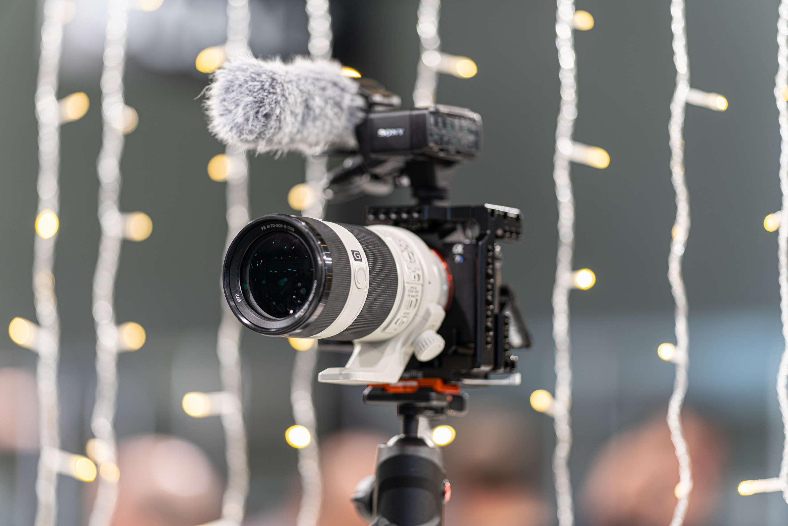 С фотофорума 2019. Фотограф — видеограф в Москве Дмитрий Менделеев