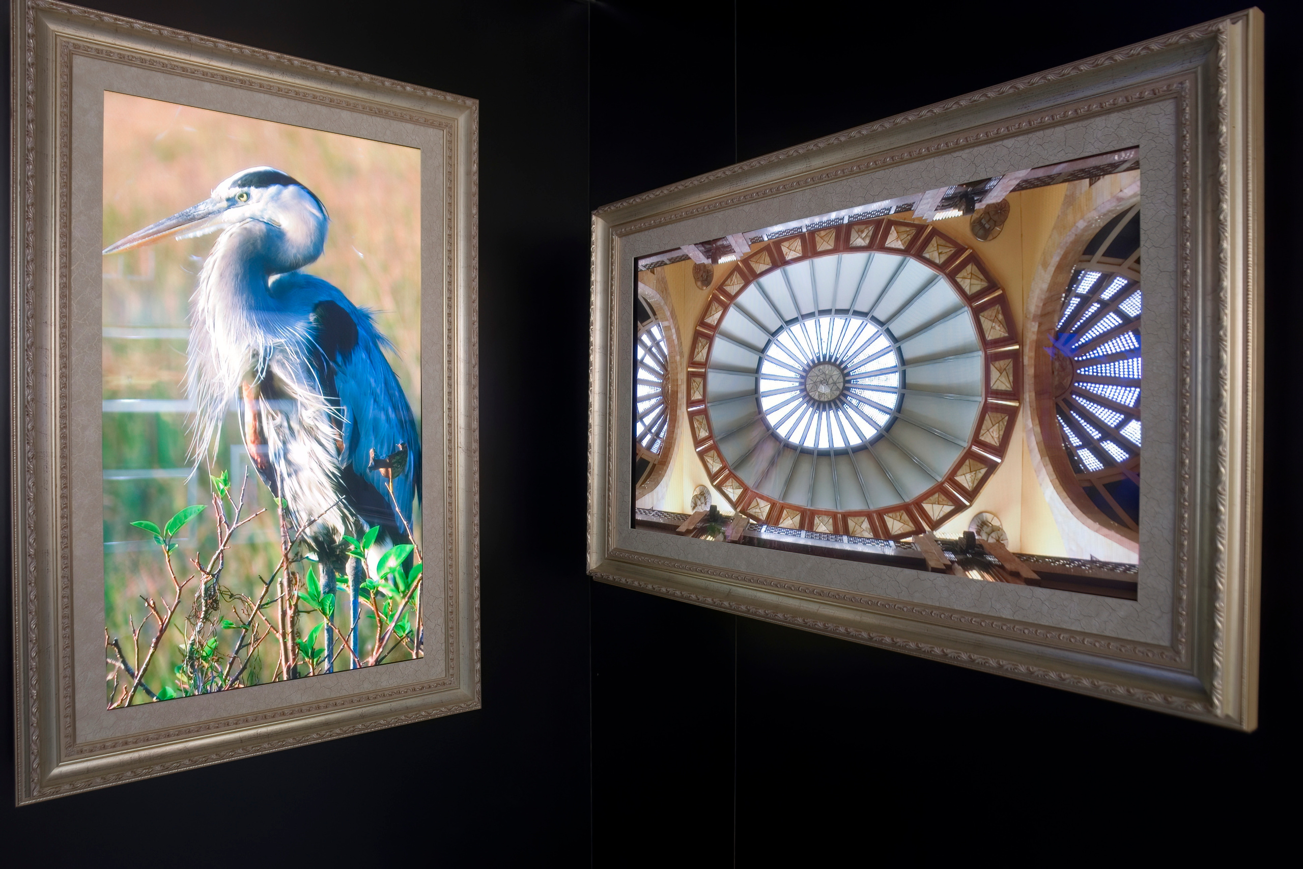 6 международная выставка Фотофорум 2006 — День 1: Часть 1. Фотограф — видеограф в Москве Дмитрий Менделеев