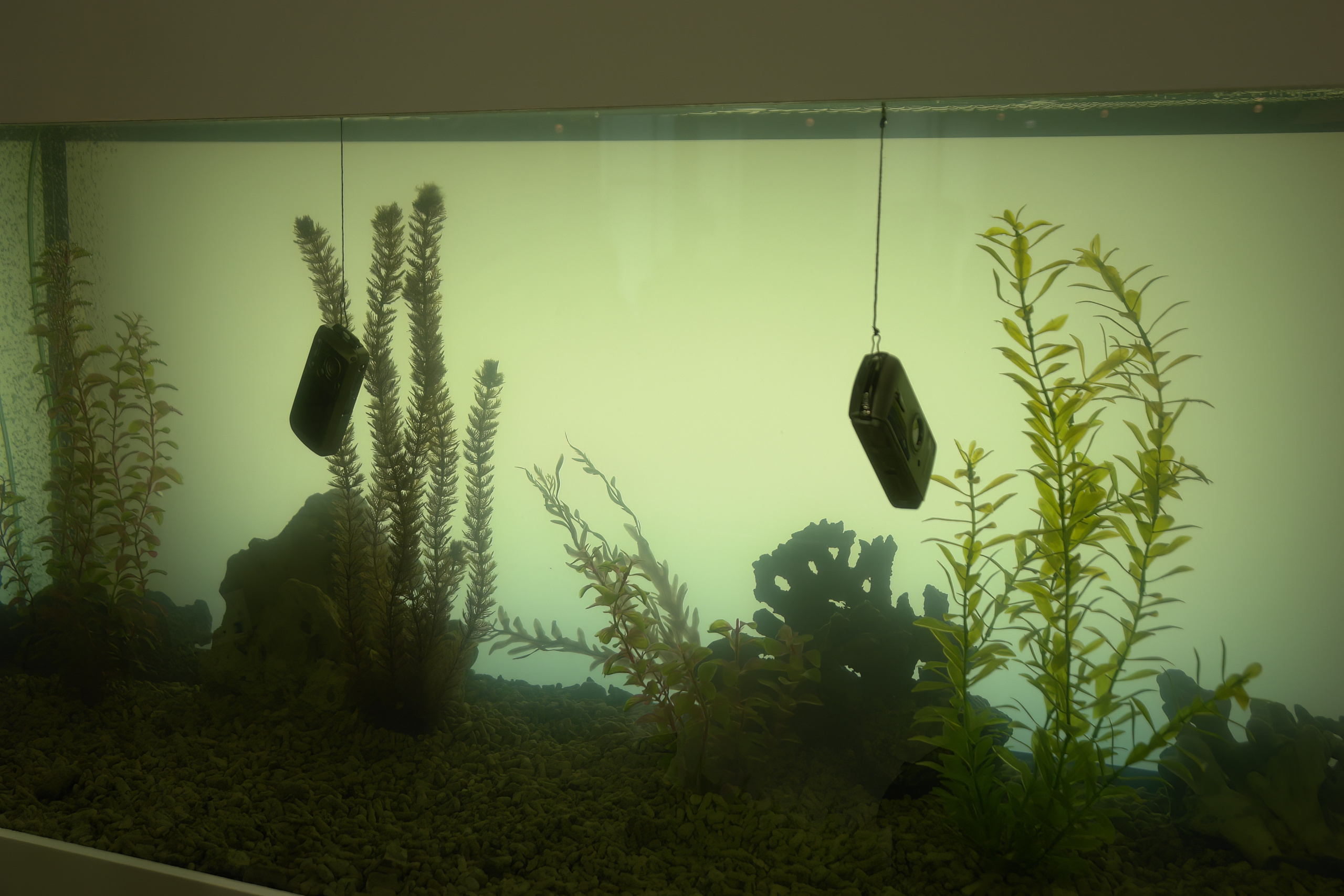 6 международная выставка Фотофорум 2006 — День 2: Часть 3. Фотограф — видеограф в Москве Дмитрий Менделеев