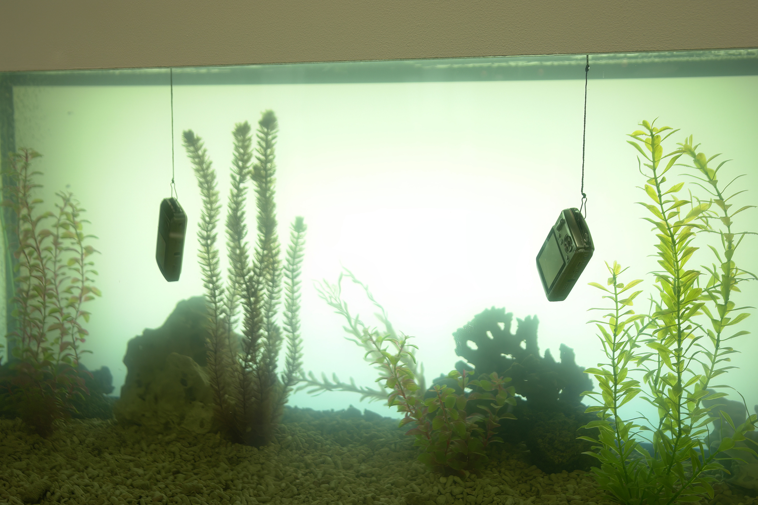 6 международная выставка Фотофорум 2006 — День 2: Часть 3. Фотограф — видеограф в Москве Дмитрий Менделеев