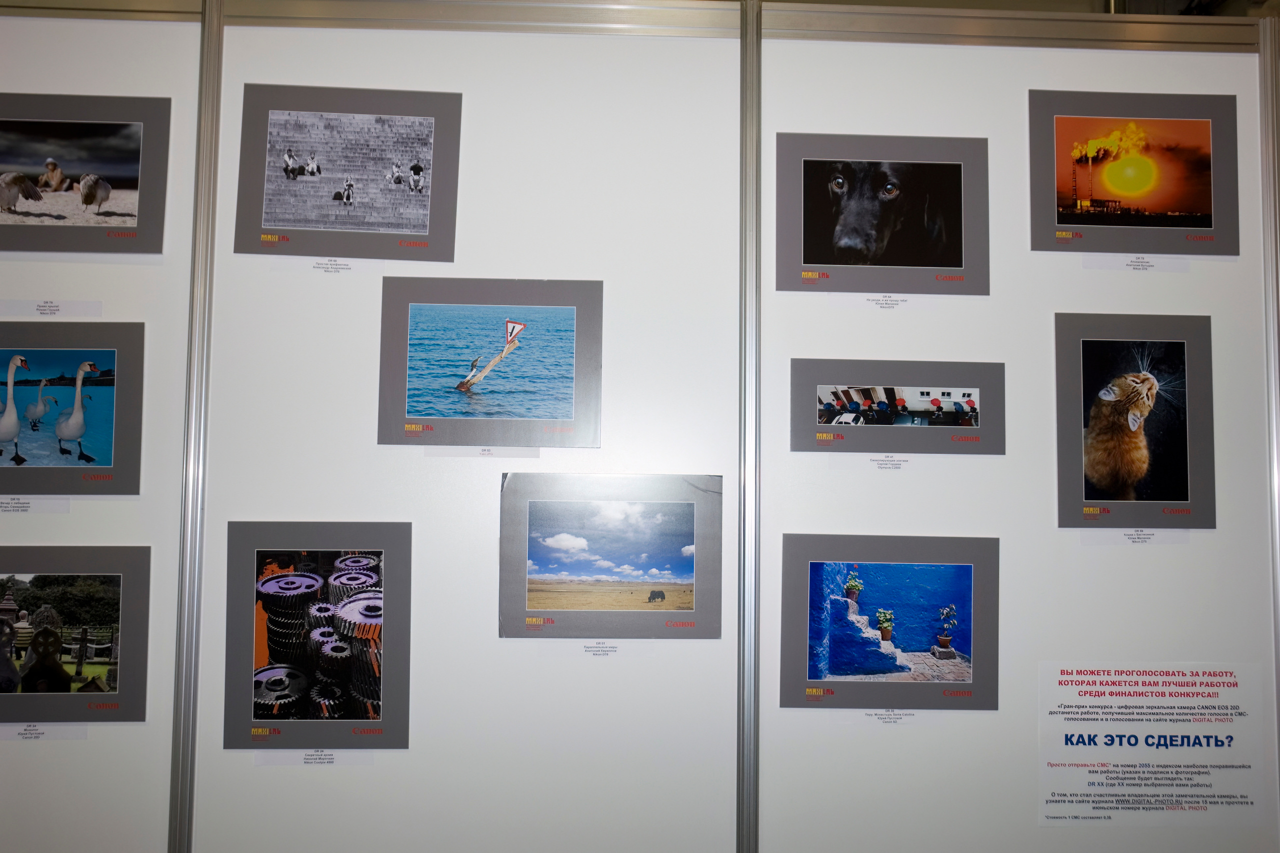 6 международная выставка Фотофорум 2006 — День 1: Часть 1. Фотограф — видеограф в Москве Дмитрий Менделеев