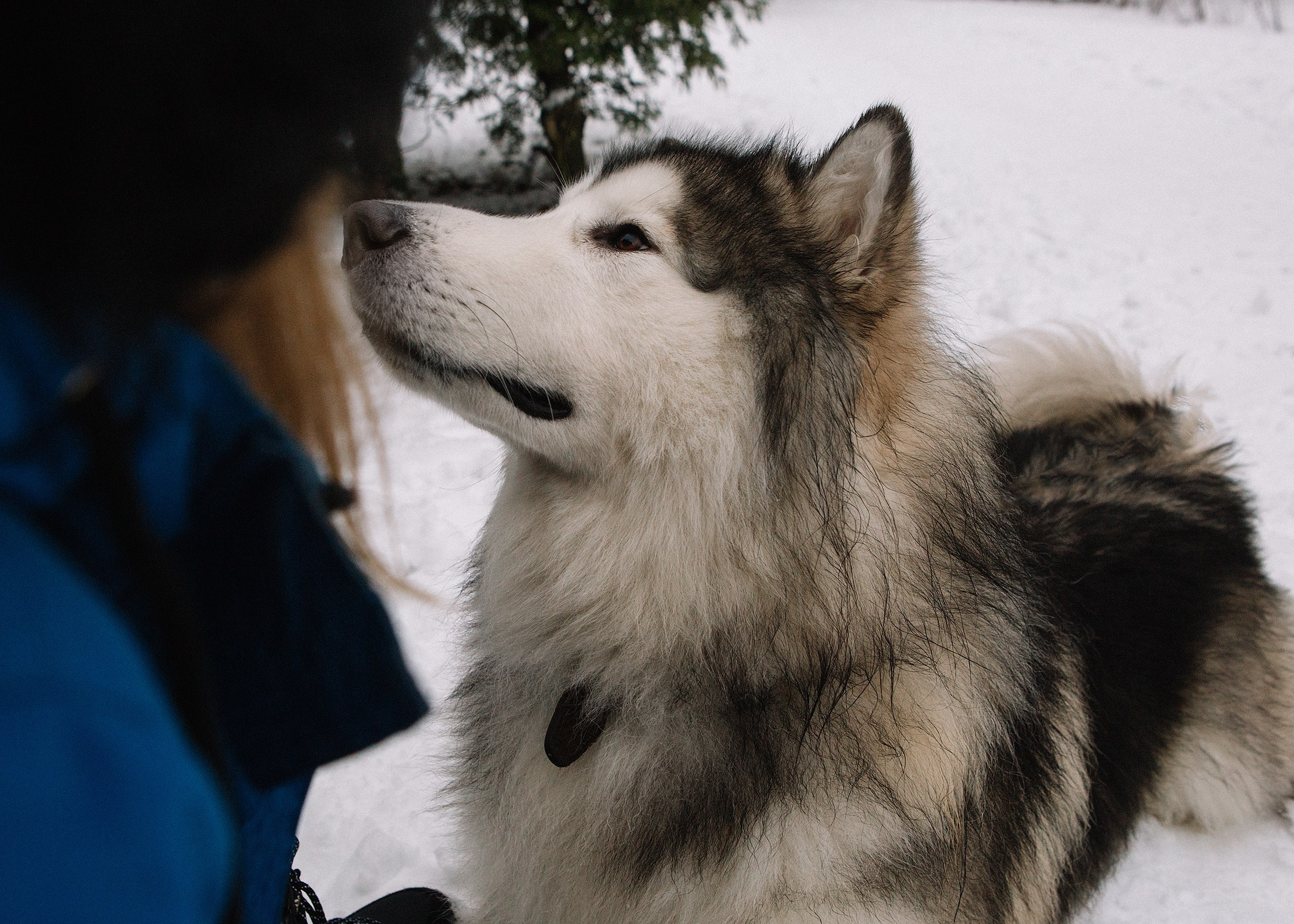 Ольга. Семейный и портретный фотограф в Санкт-Петербурге