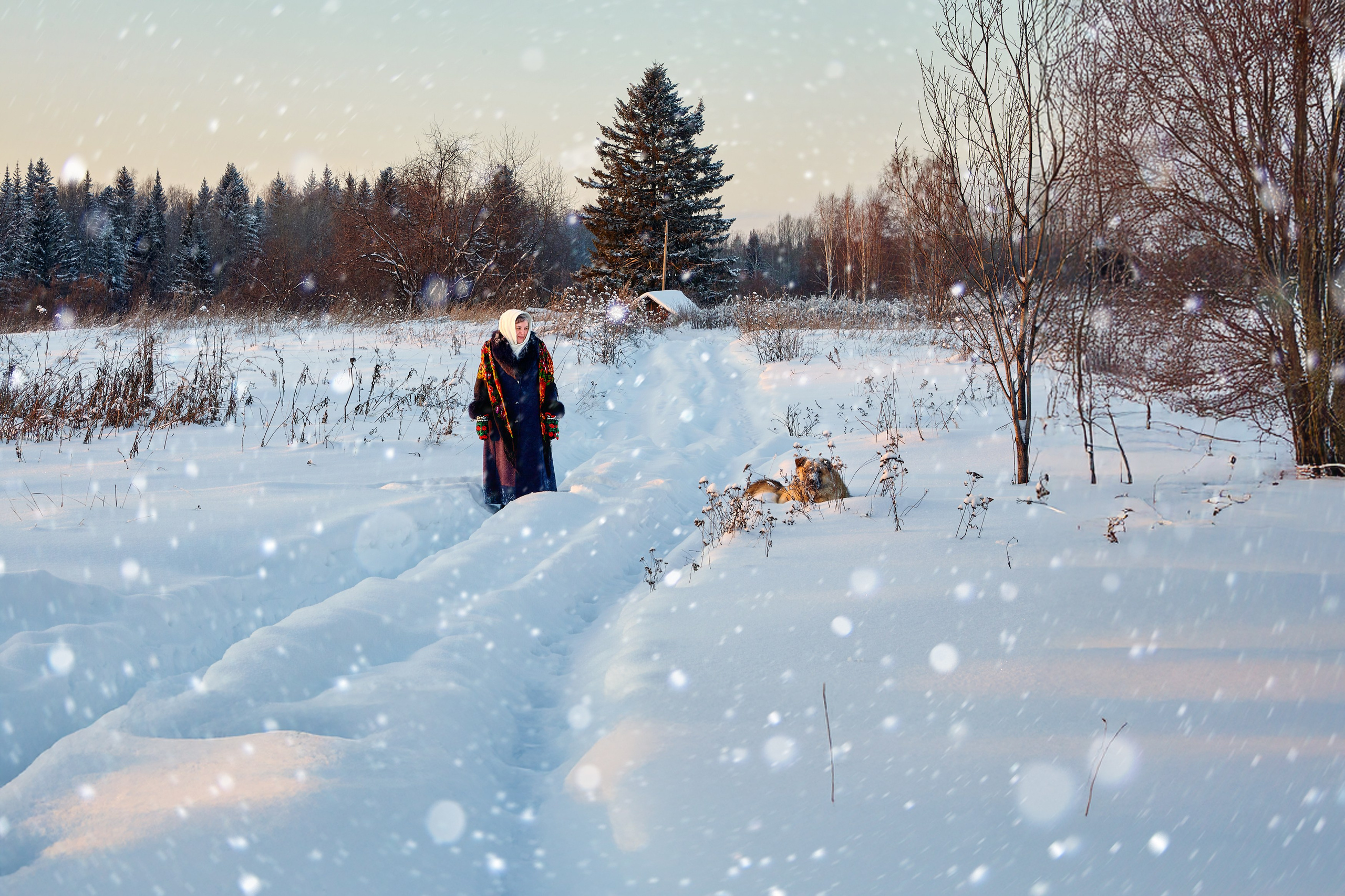Портрет Мамы. DMITRY MOISEENKO — фотограф, художник, топ-стилист
